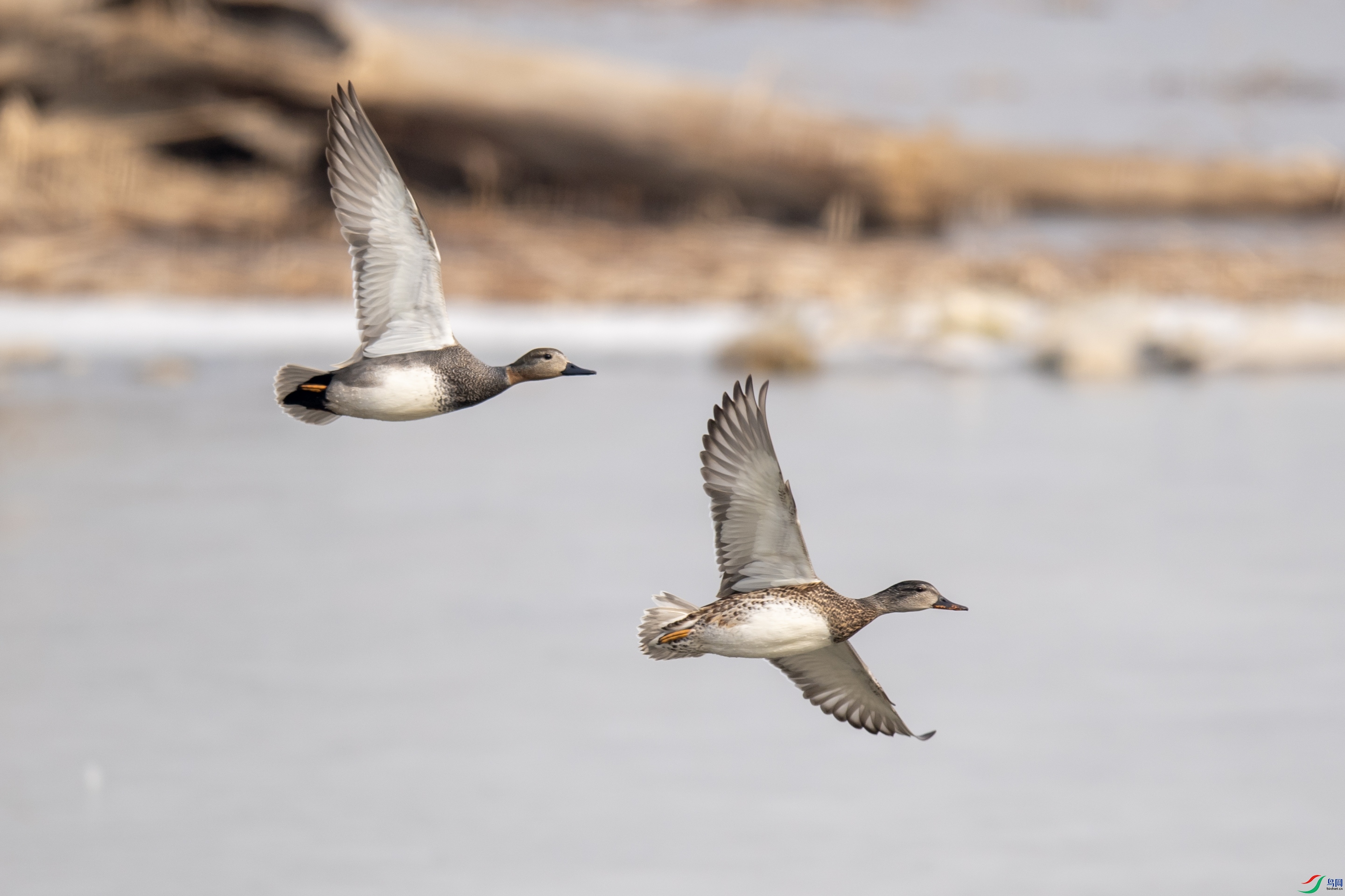 DSC_5819 ����.jpg