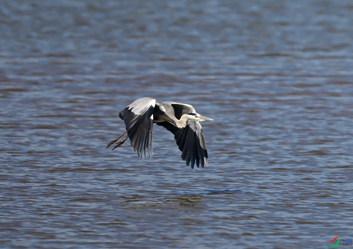 _DSC9455f.jpg