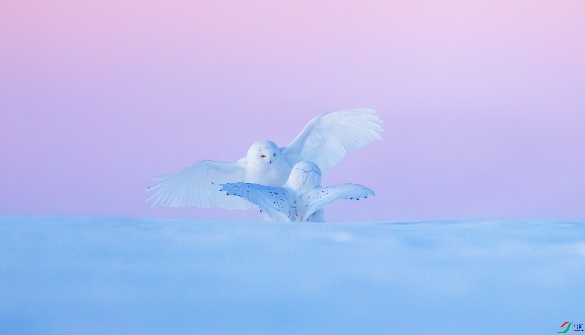 6R9A7896.jpg