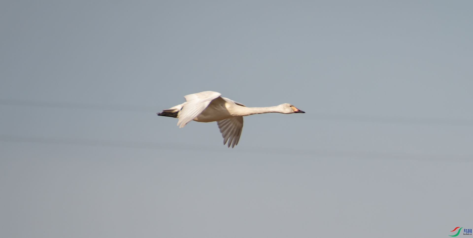 DSC_9212.jpg