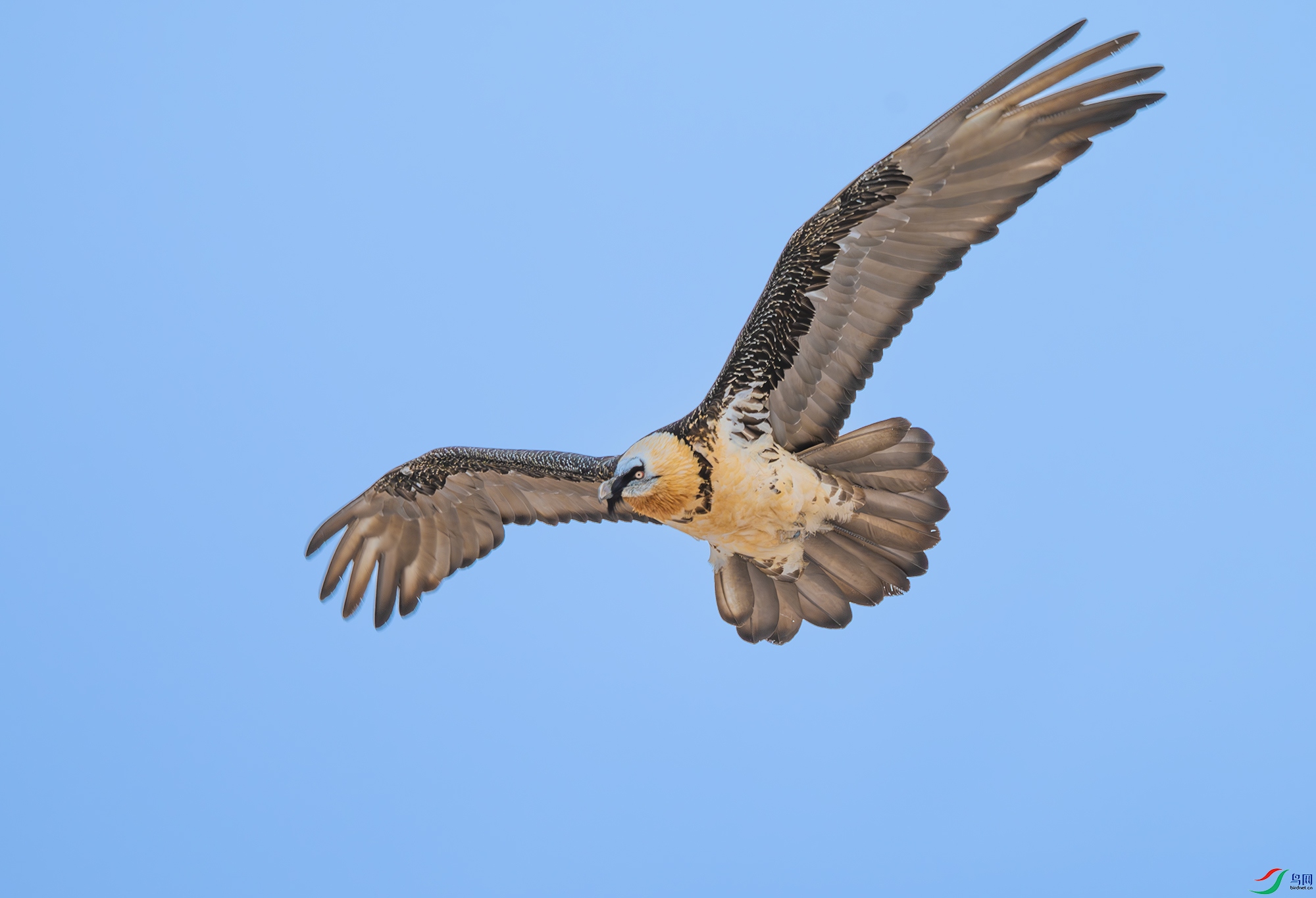 DSC_1348.jpg