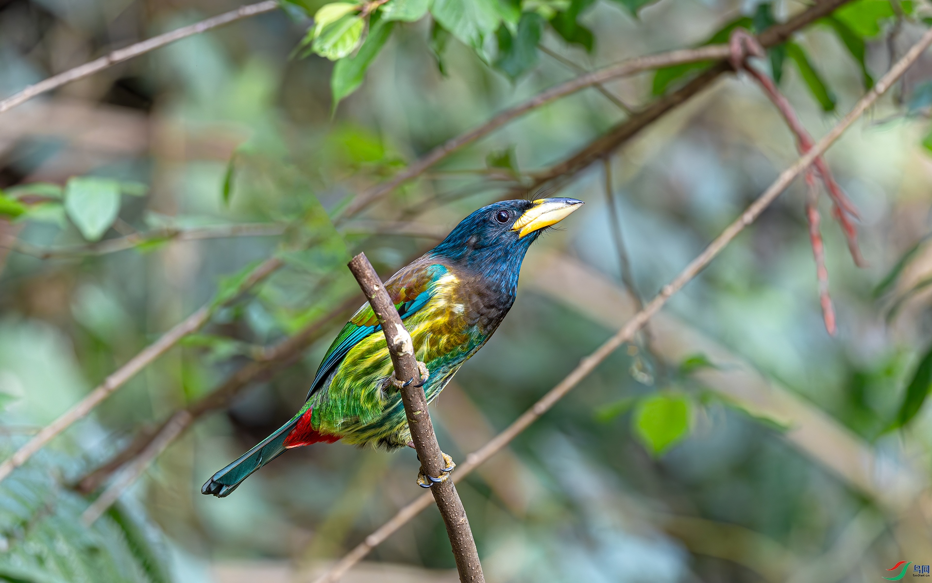 _DSC8881.jpg
