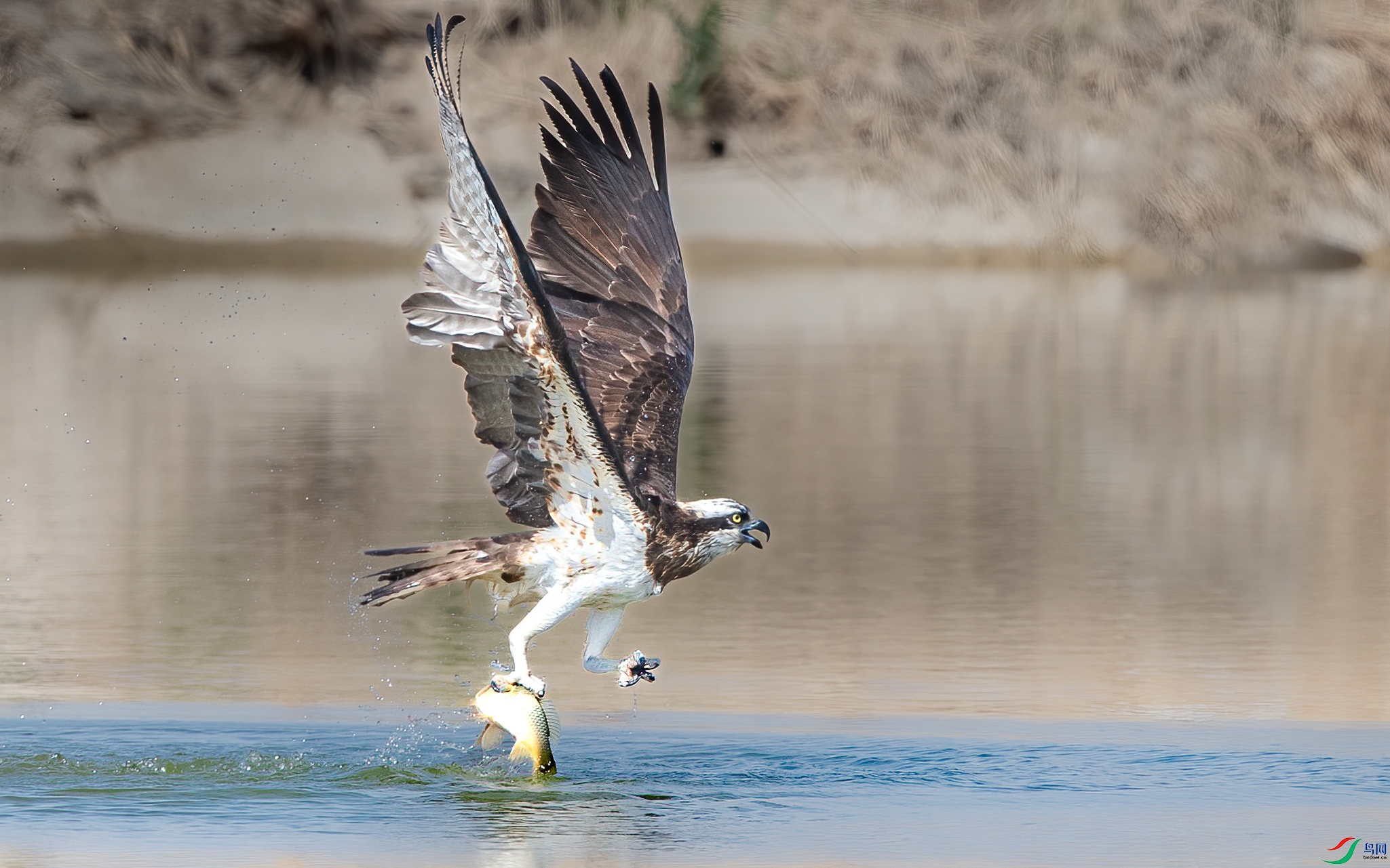 AY8I0825 ����.jpg4.jpg