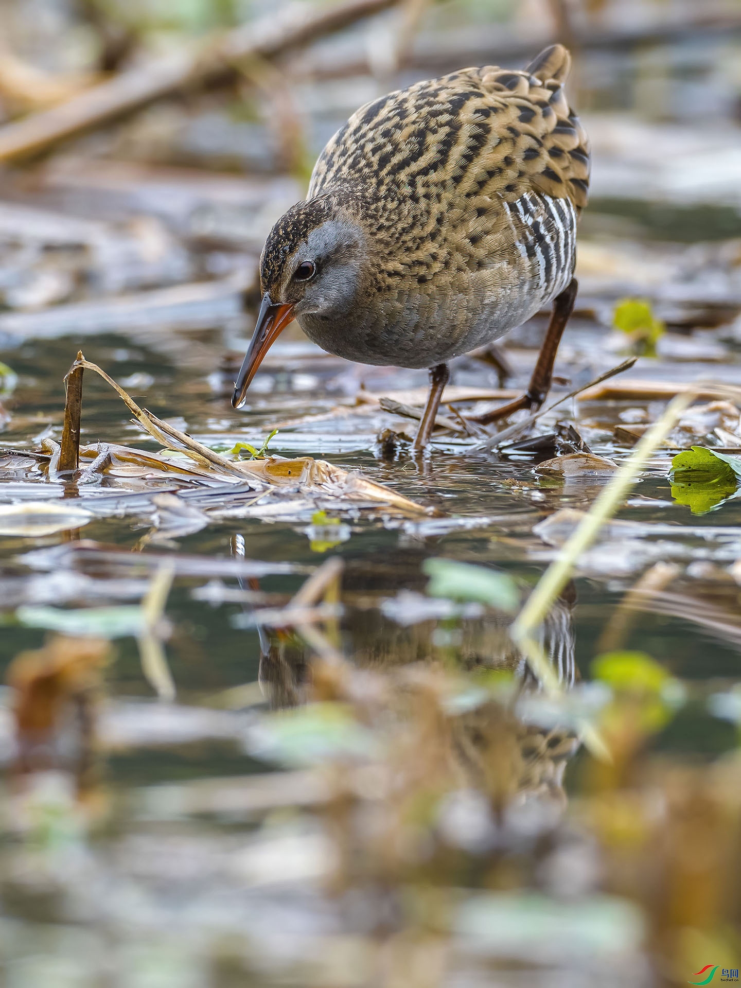 02 P2259265-DeNoiseAI-low-light.jpg