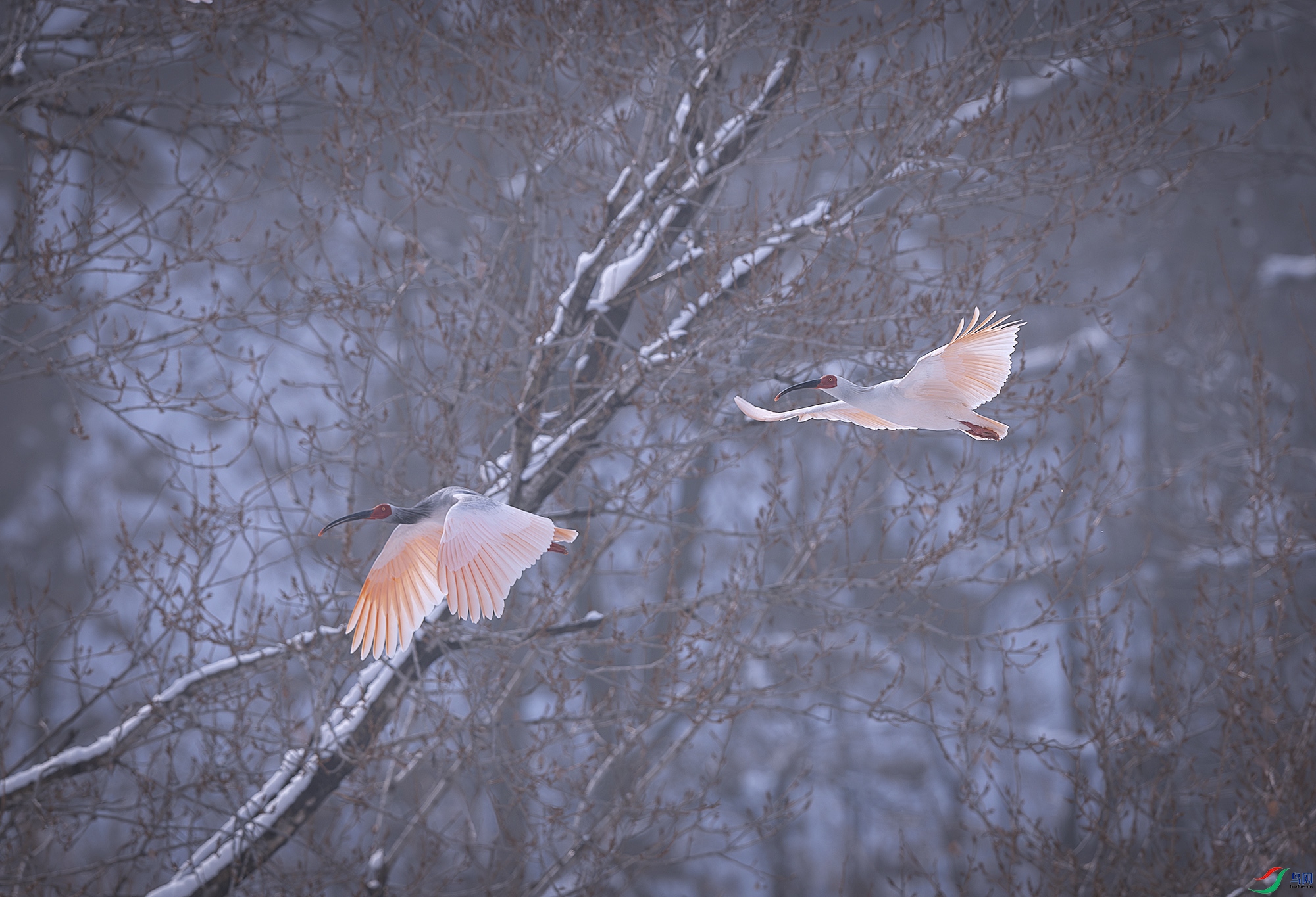 055A9873-����ǿ-NR ����.jpg