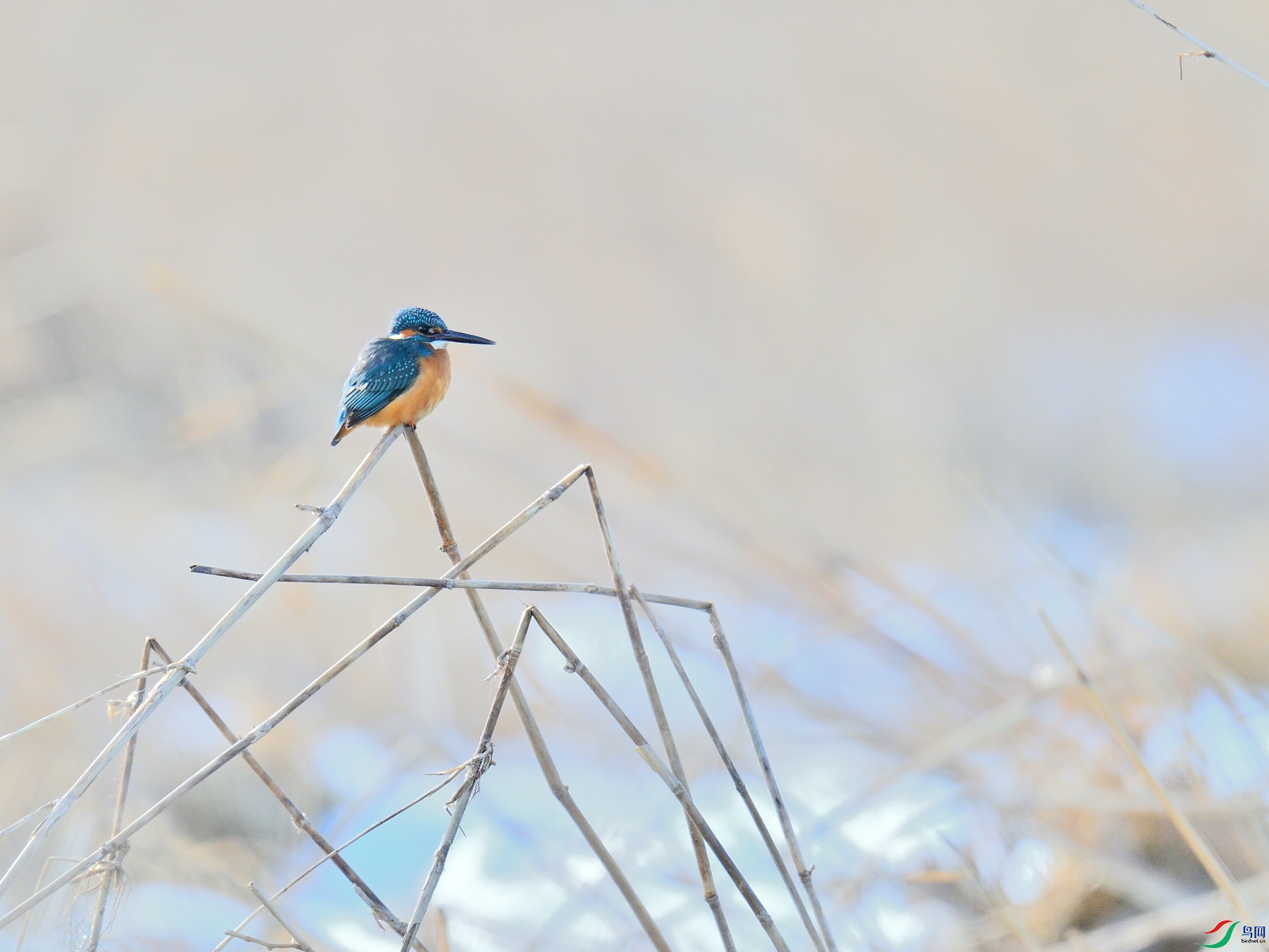 DSC_3068.JPG