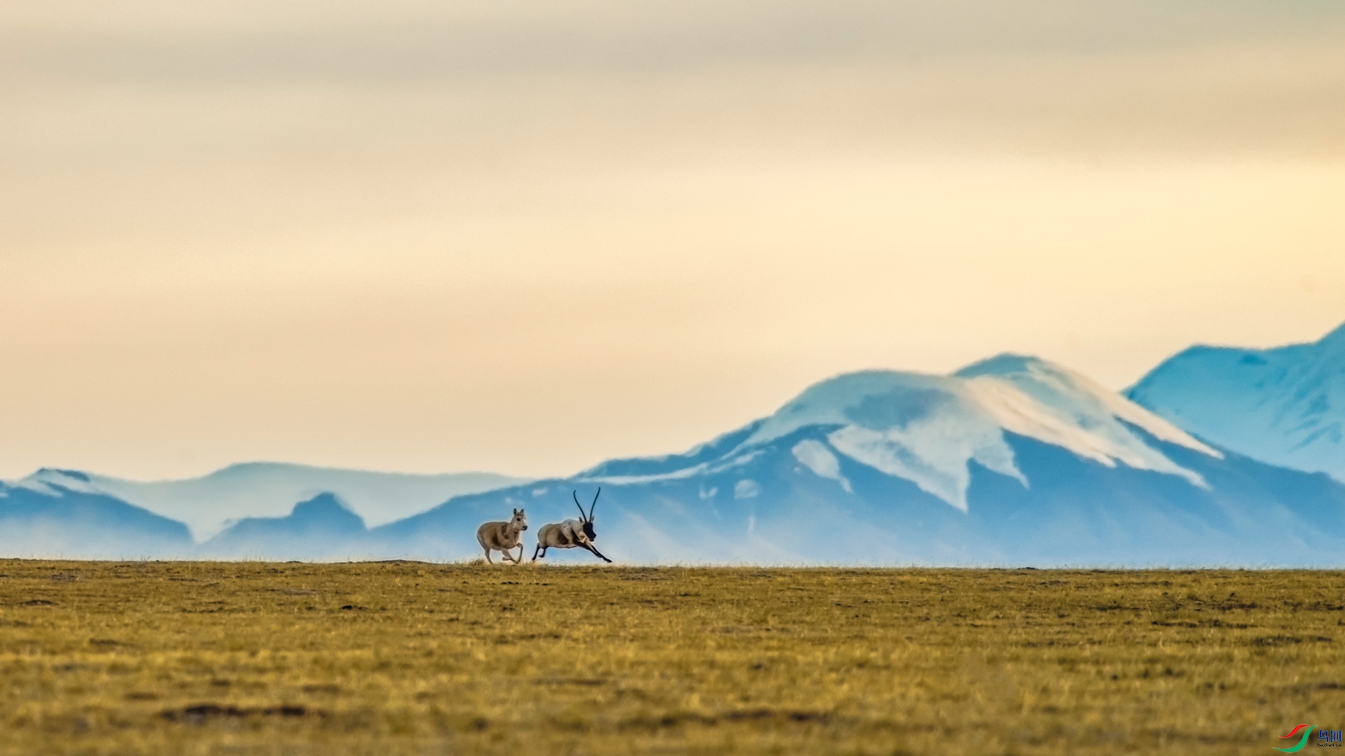 _DSC7617_����.jpg
