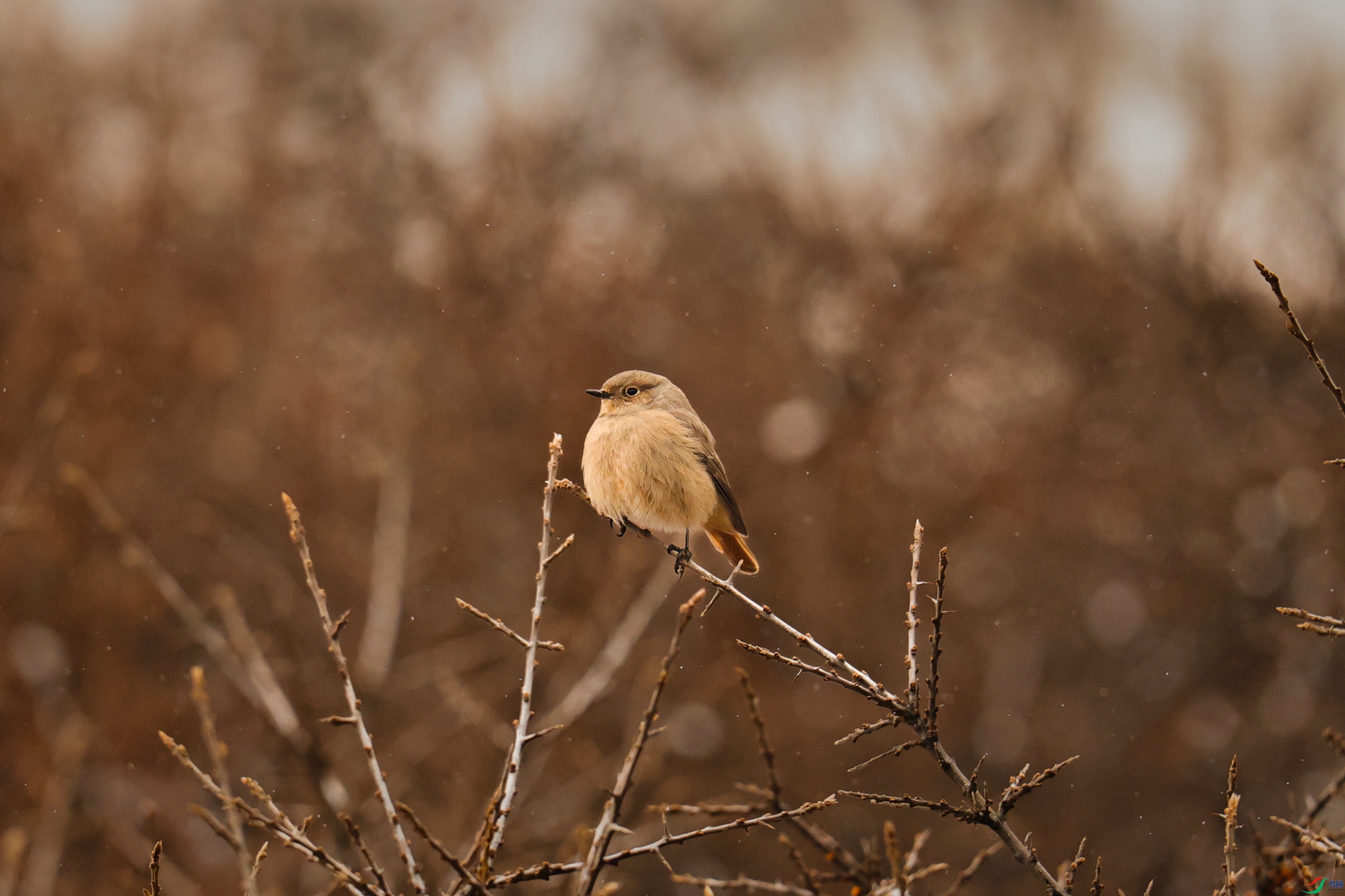 7X5A1812 - ����.JPG