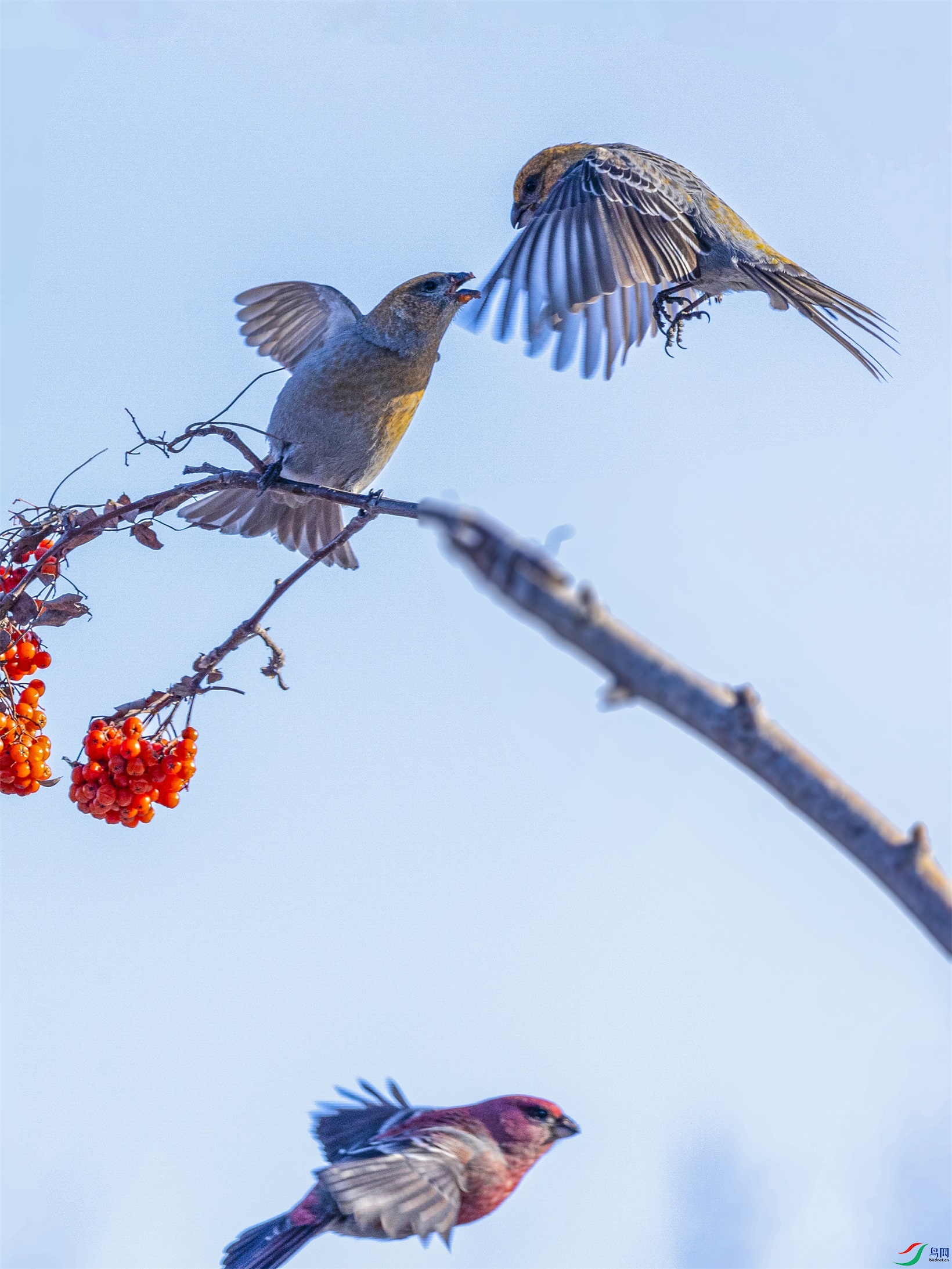 1K3A8558 ����1.jpg