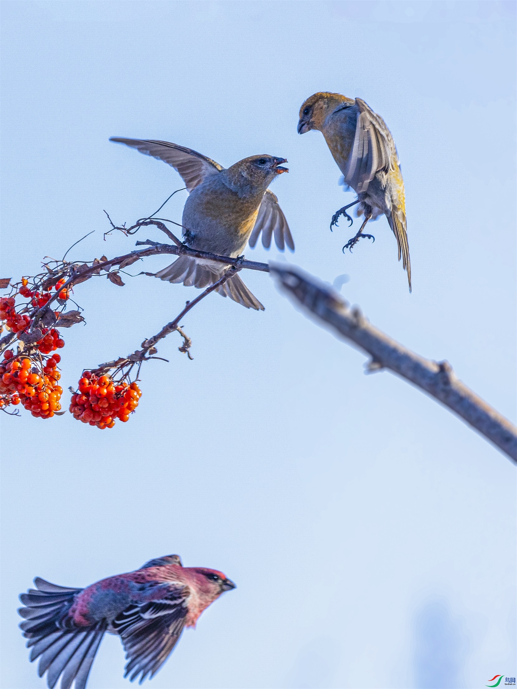 1K3A8557 ����1.jpg