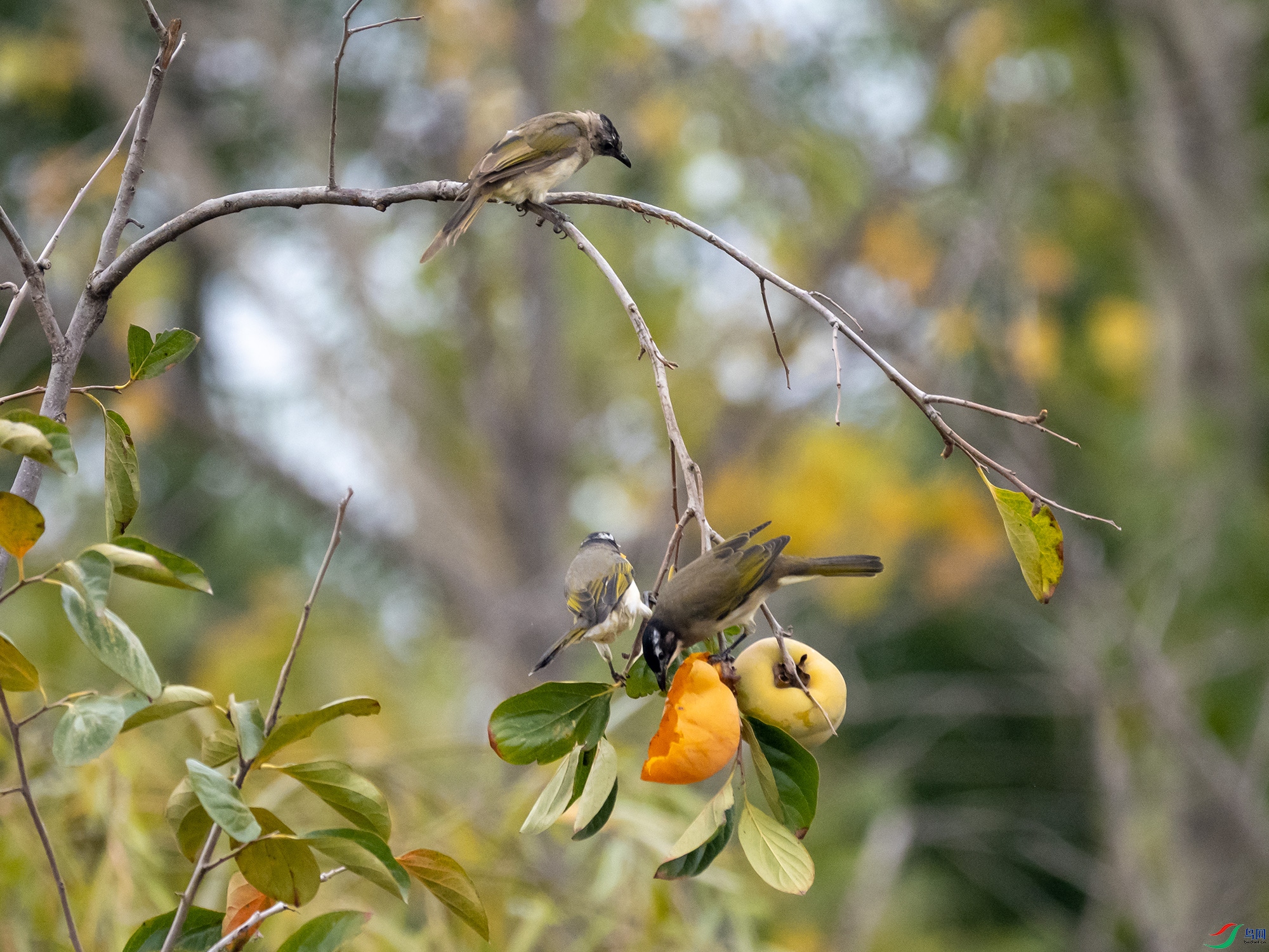 P9250776.jpg