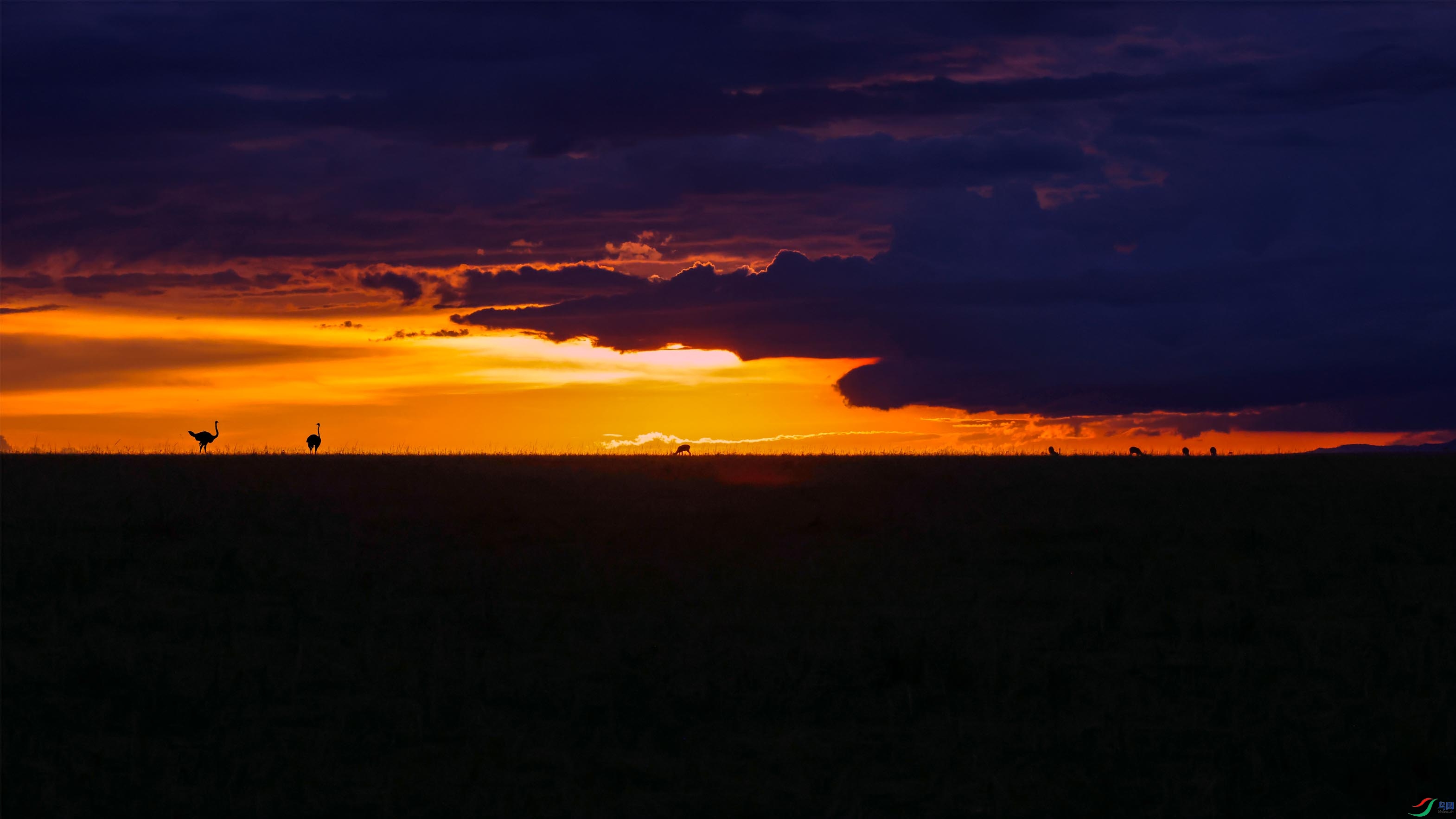 ��ϼ�İ�������1 ����.jpg