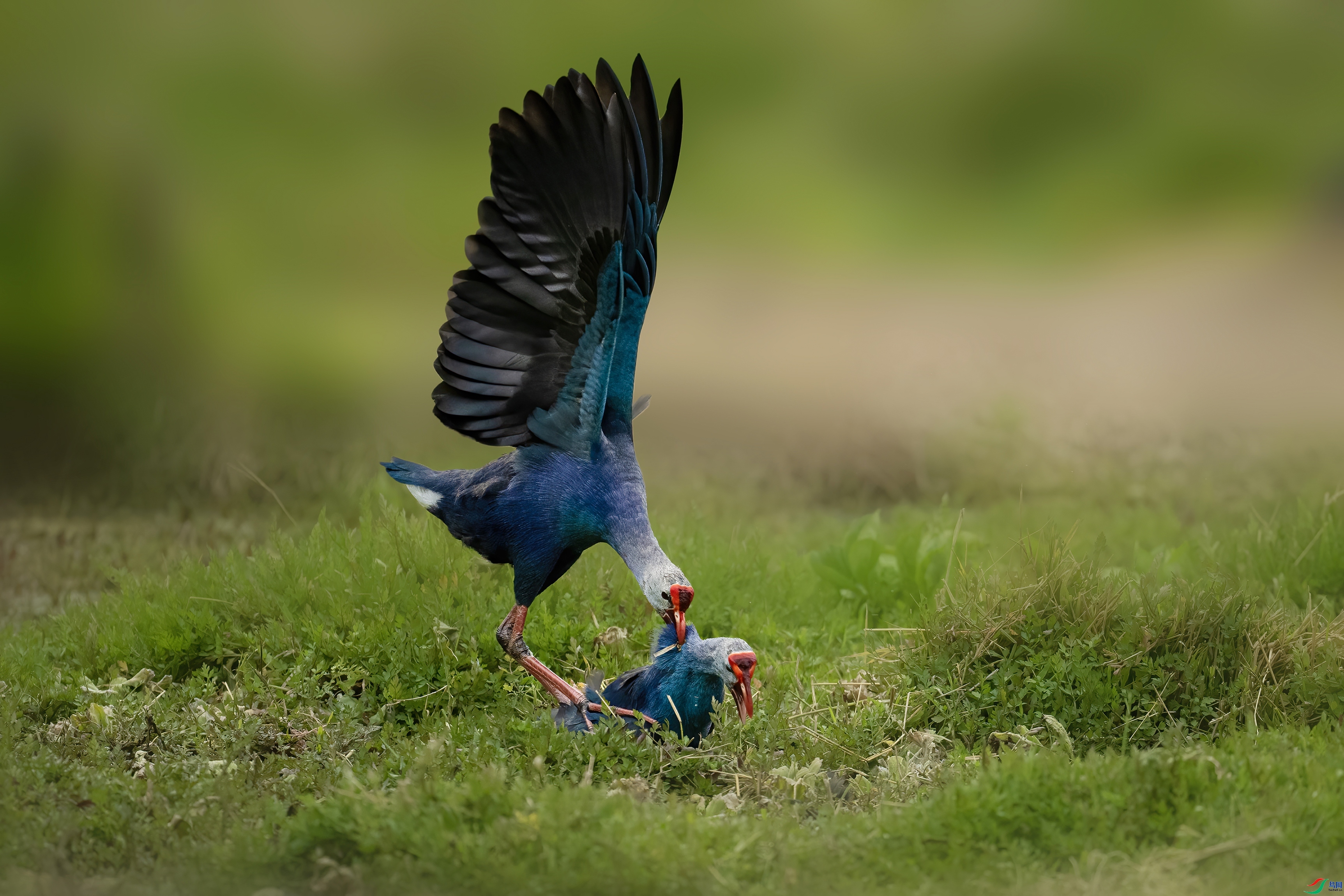 2.1����·��ʦ��Ʒ   ����ʹ������ף���ٻ�ÿ�ռ�����.jpg