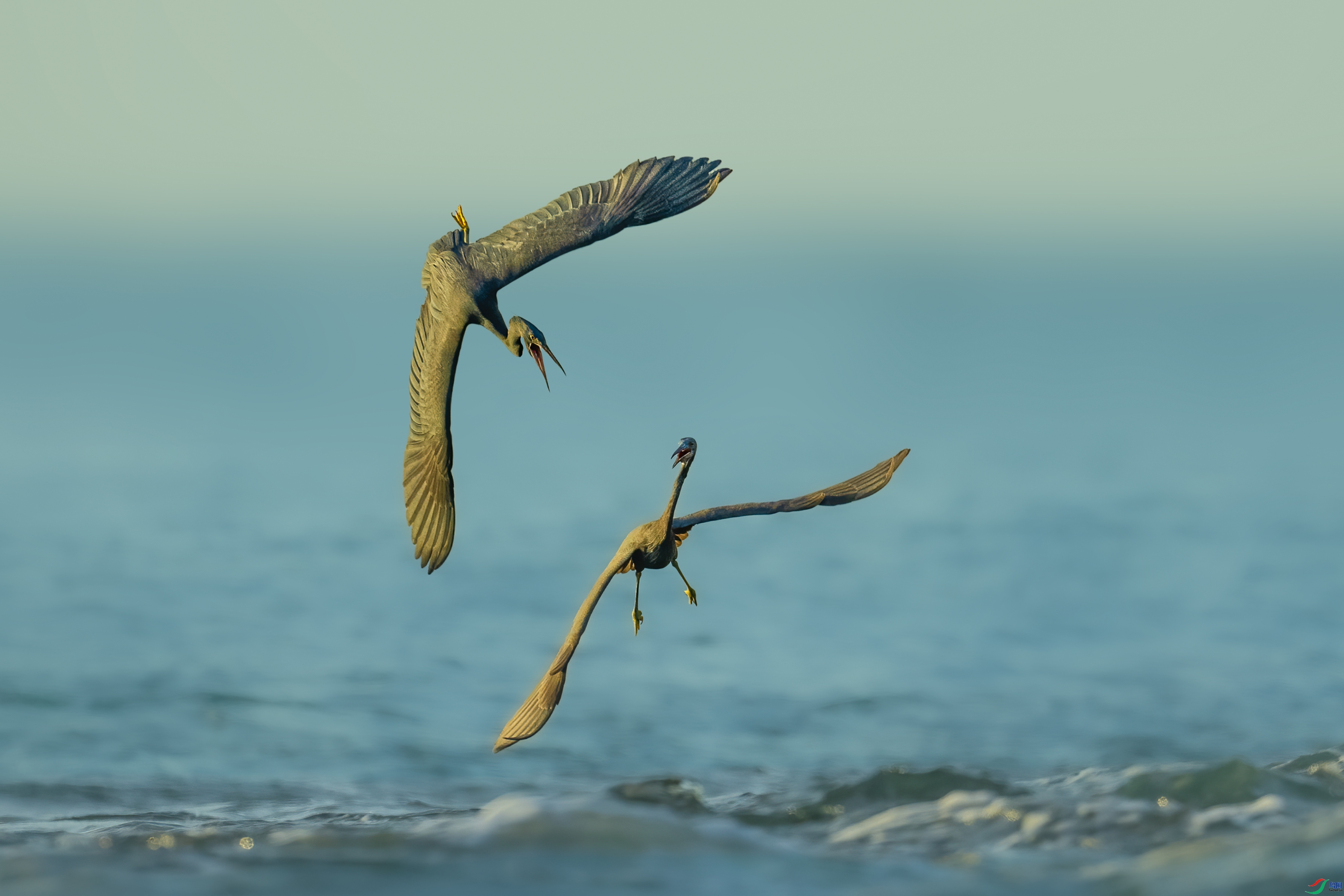 2.15����·��ʦ��Ʒ   ���幥�� ��ף���ٻ����������.jpg