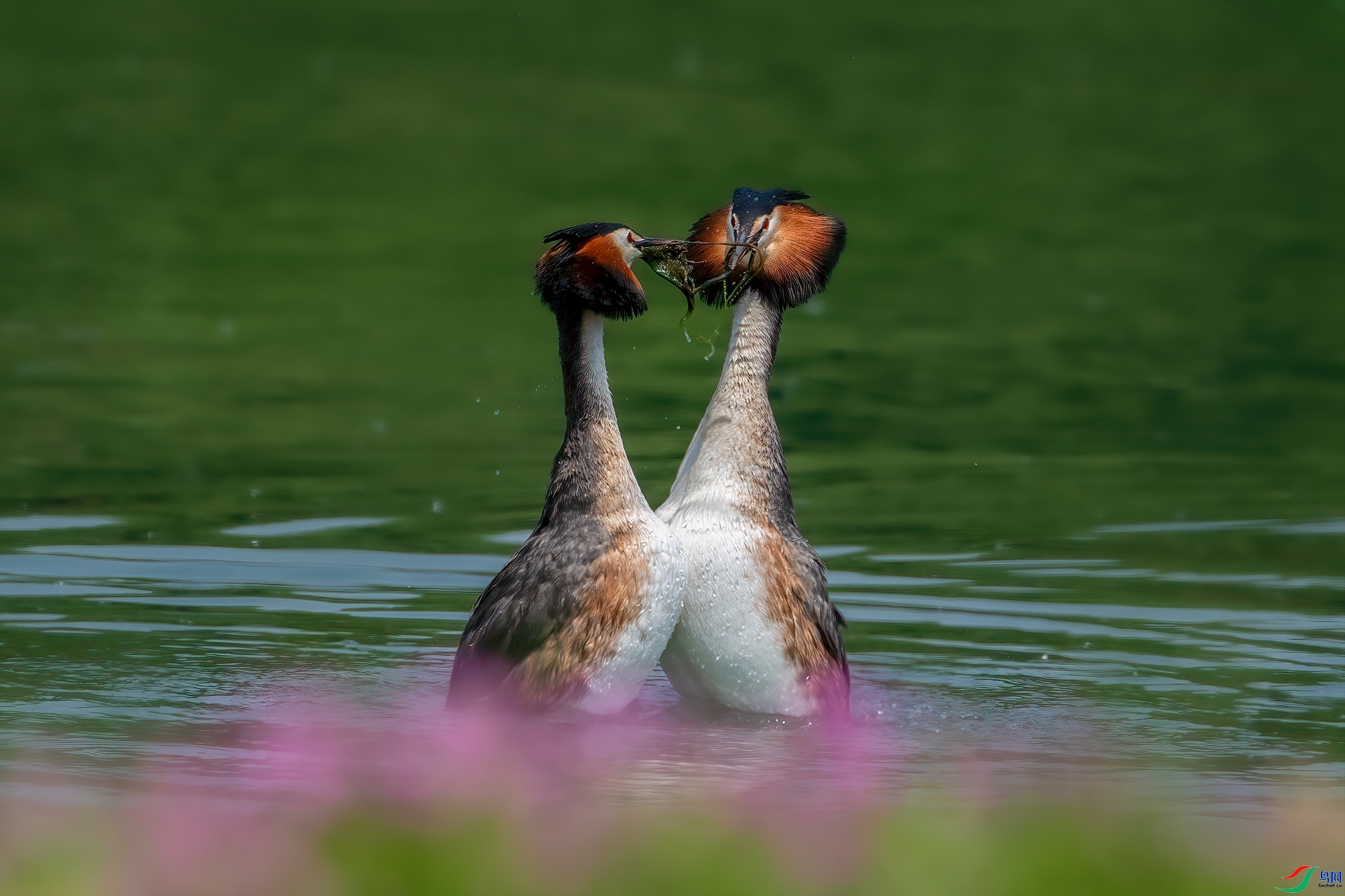 2.15����������ʦ��Ʒ   ���˽ڿ��֣���ף���ٻ��Ա������.jpg