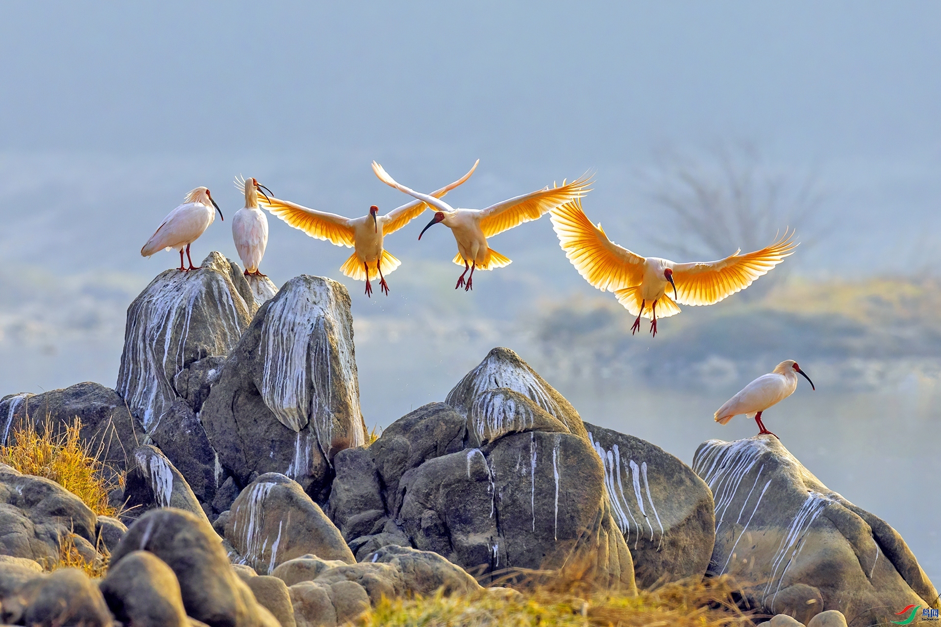 2.16��������ʦ��Ʒ   ���ȿֺ� ��ף���ٻ����������.jpg