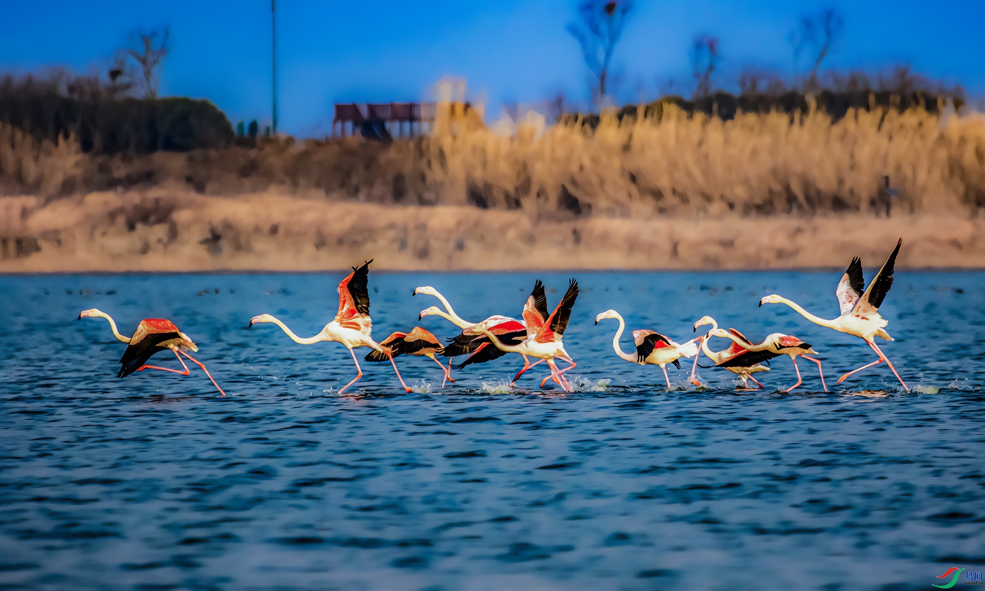 2.19jsdtwyj��ʦ��Ʒ  ̤���У�ף���ٻ���Ӱʦ������.jpg