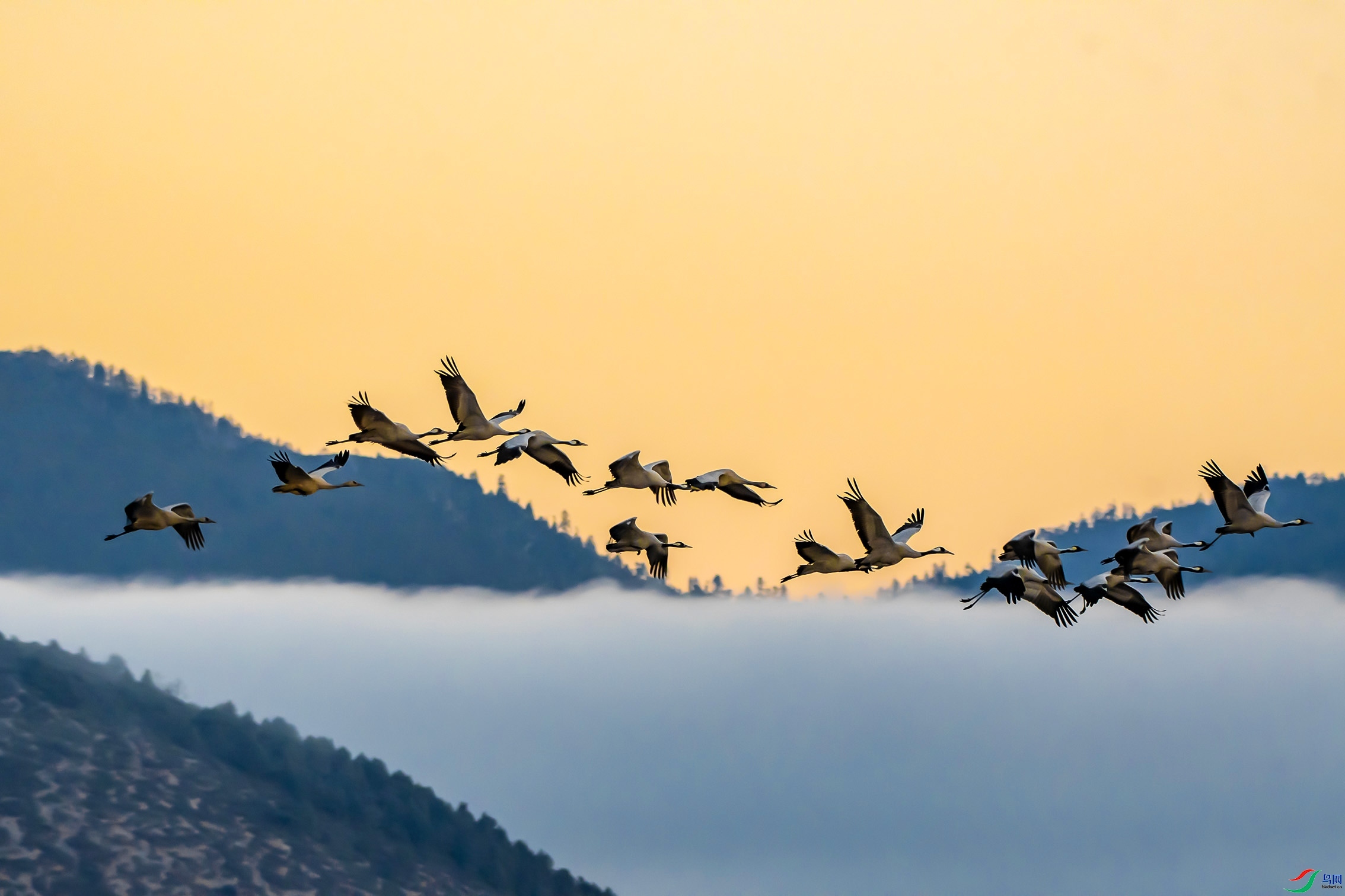 2.19���ݷ���ʦ��Ʒ   �������ĻҺף�ף���ٻ��Ա������.jpg