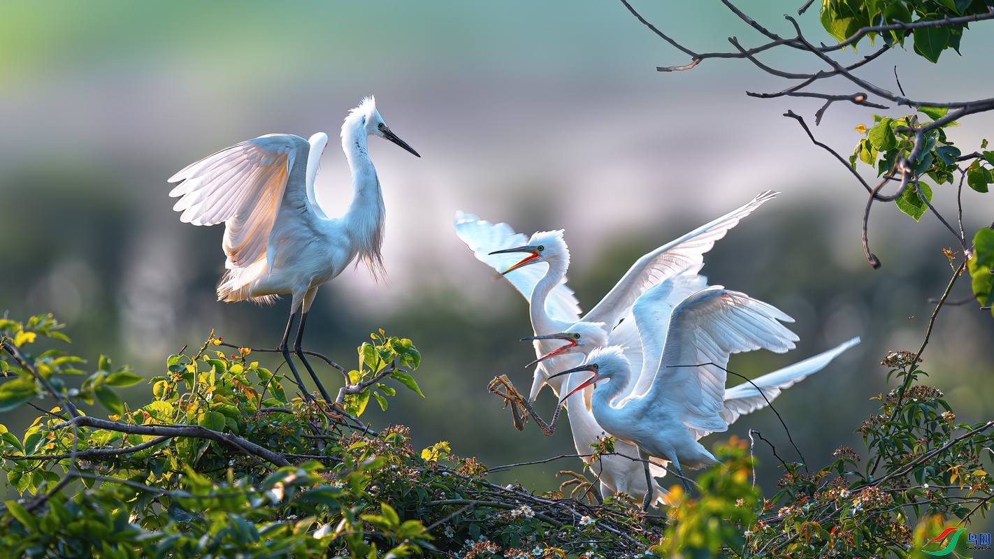 2.21����һɫYU��ʦ��Ʒ  ����æµ��ĸ�� ��ף���ٻ��Ա ...jpg