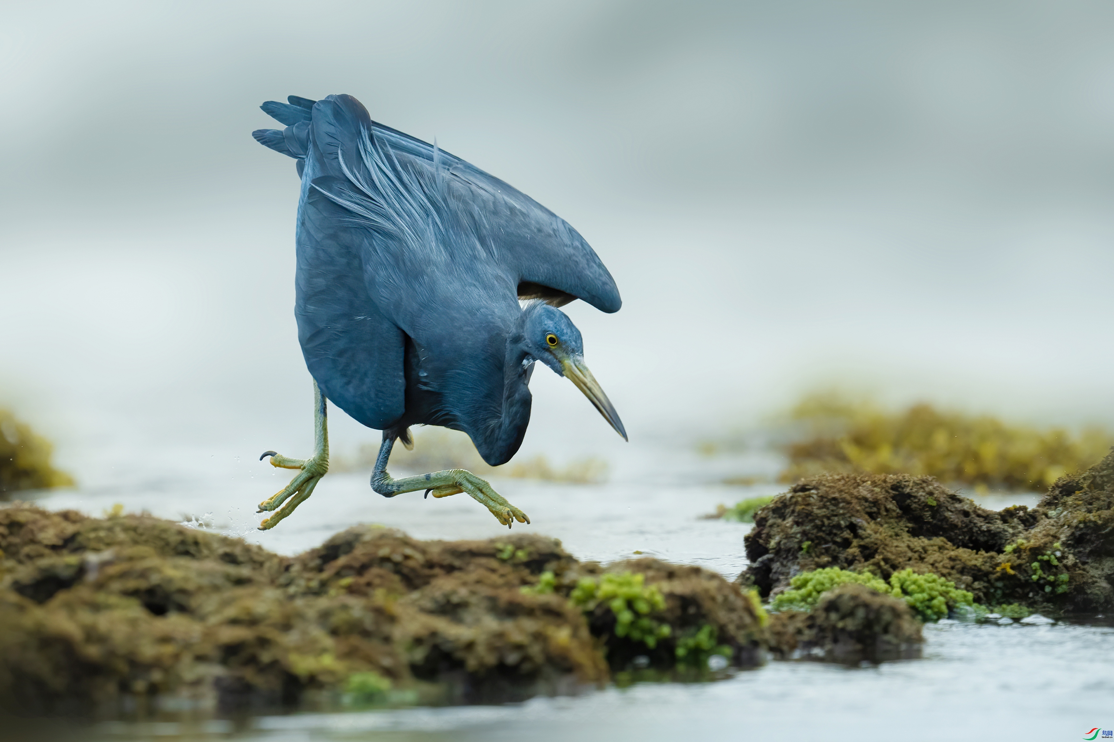 2.21����·��ʦ��Ʒ  ��ղ��㣨ף���ٻ����������.jpg