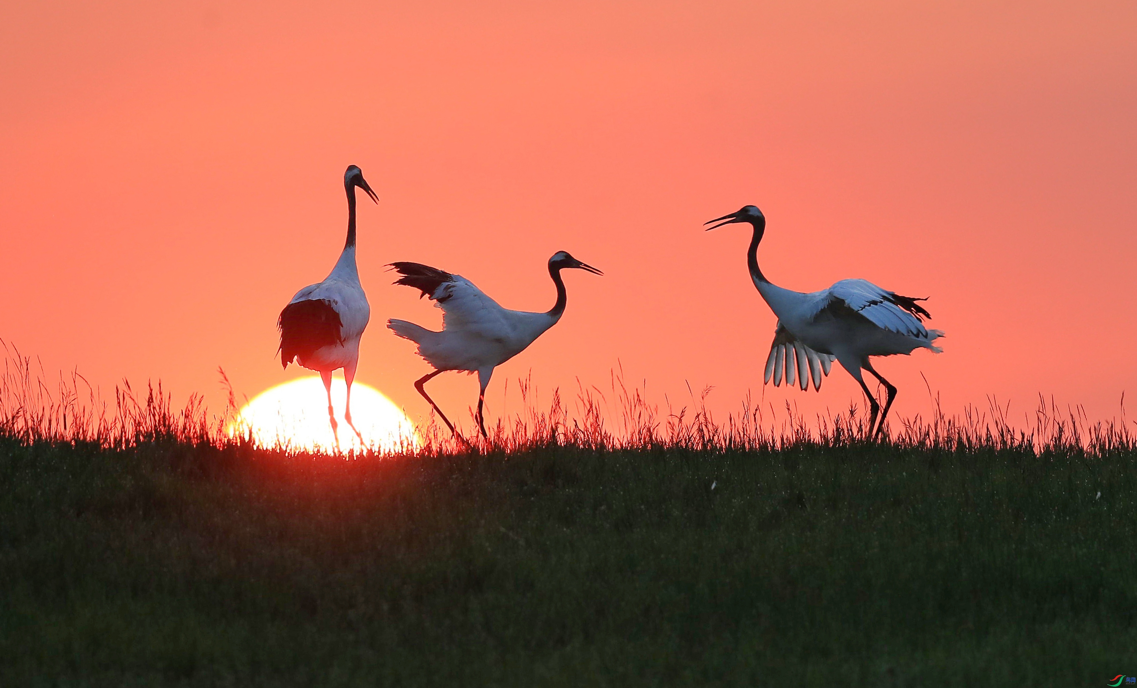 2.25����·��ʦ��Ʒ   ��սһ ��ף���ٻ����������.jpg