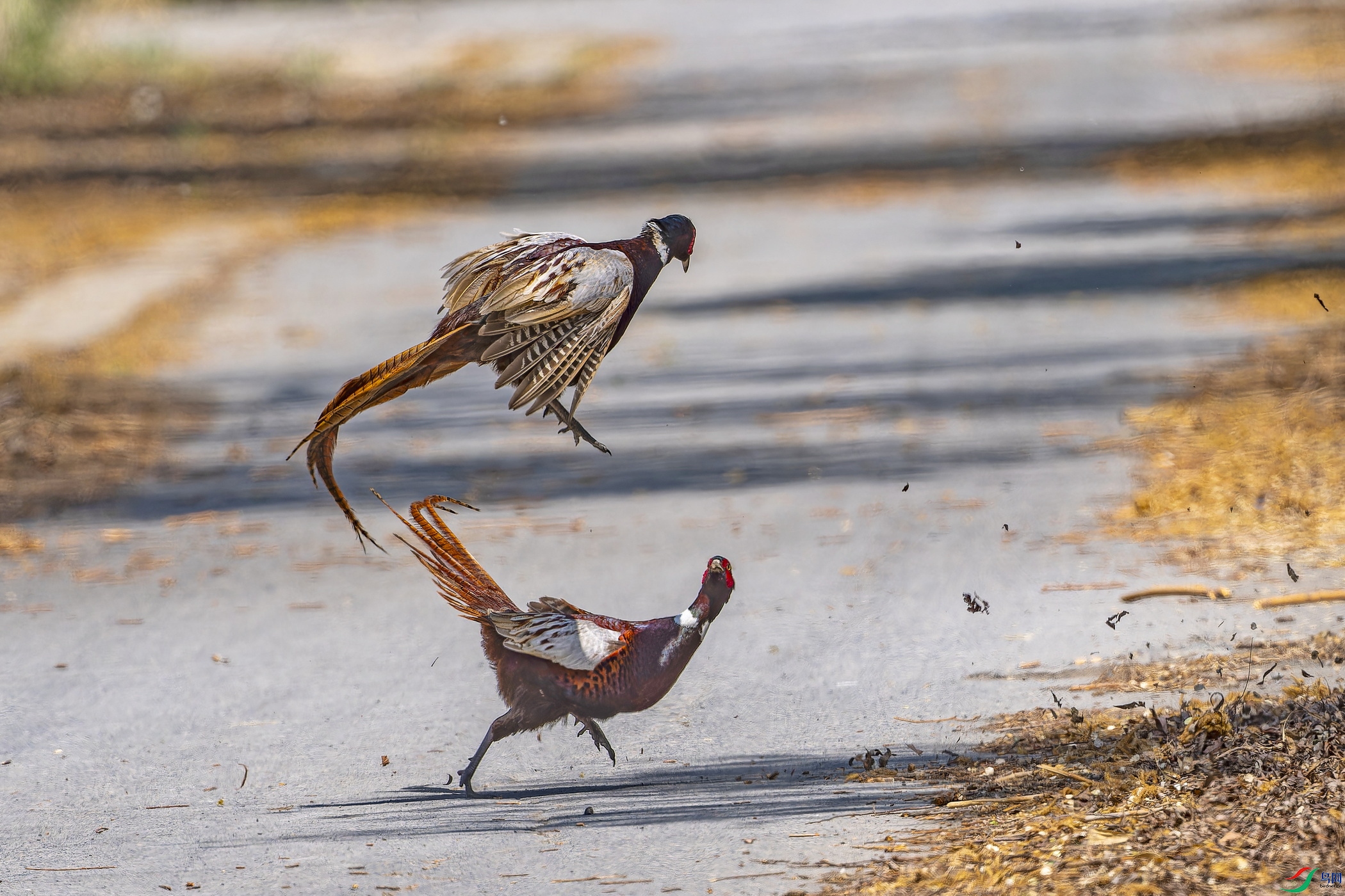 ������ (4)-1.jpg