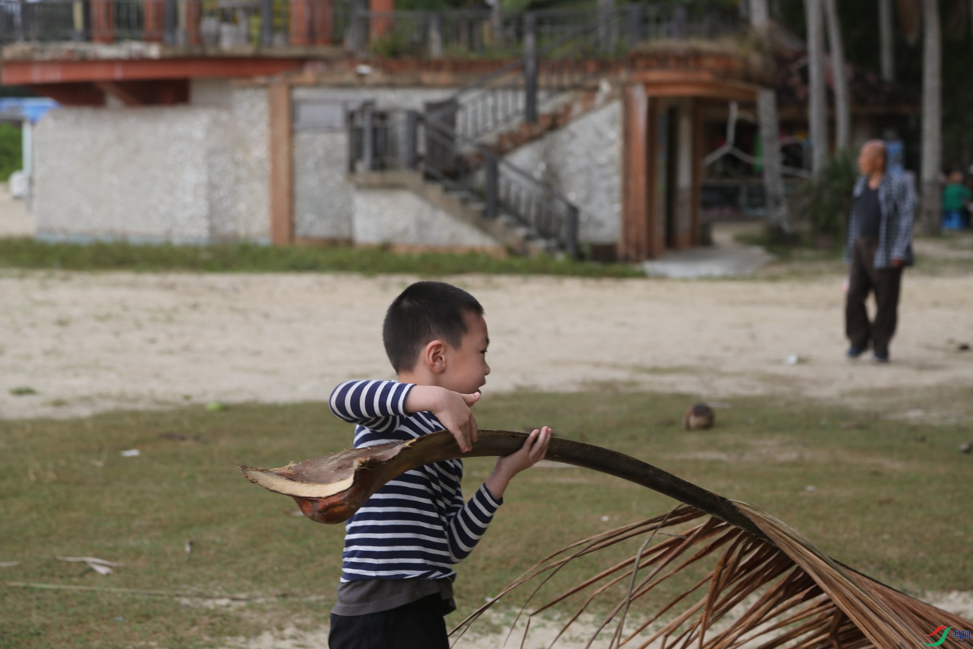 ����������Ҷ