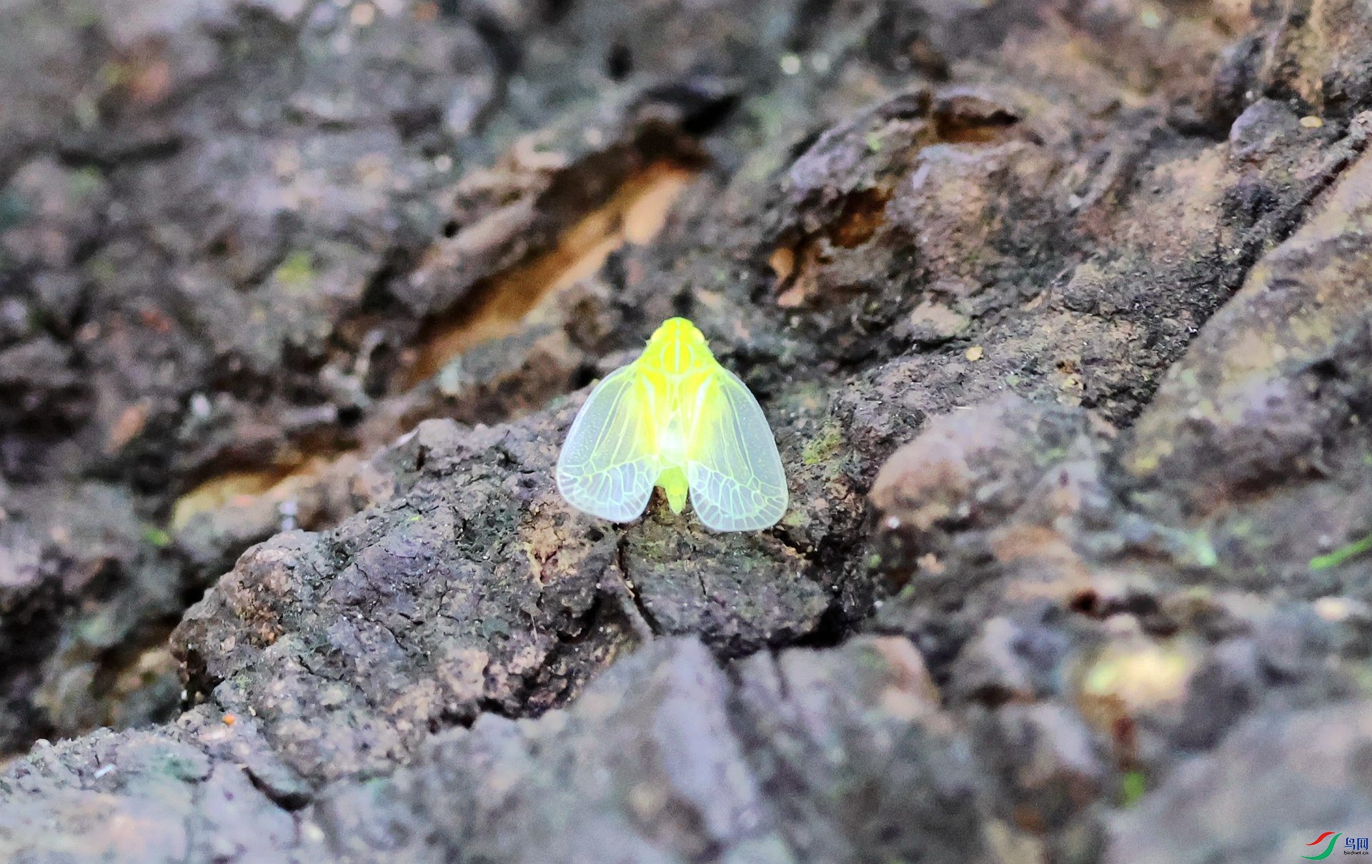 ��ôС�ǲ���