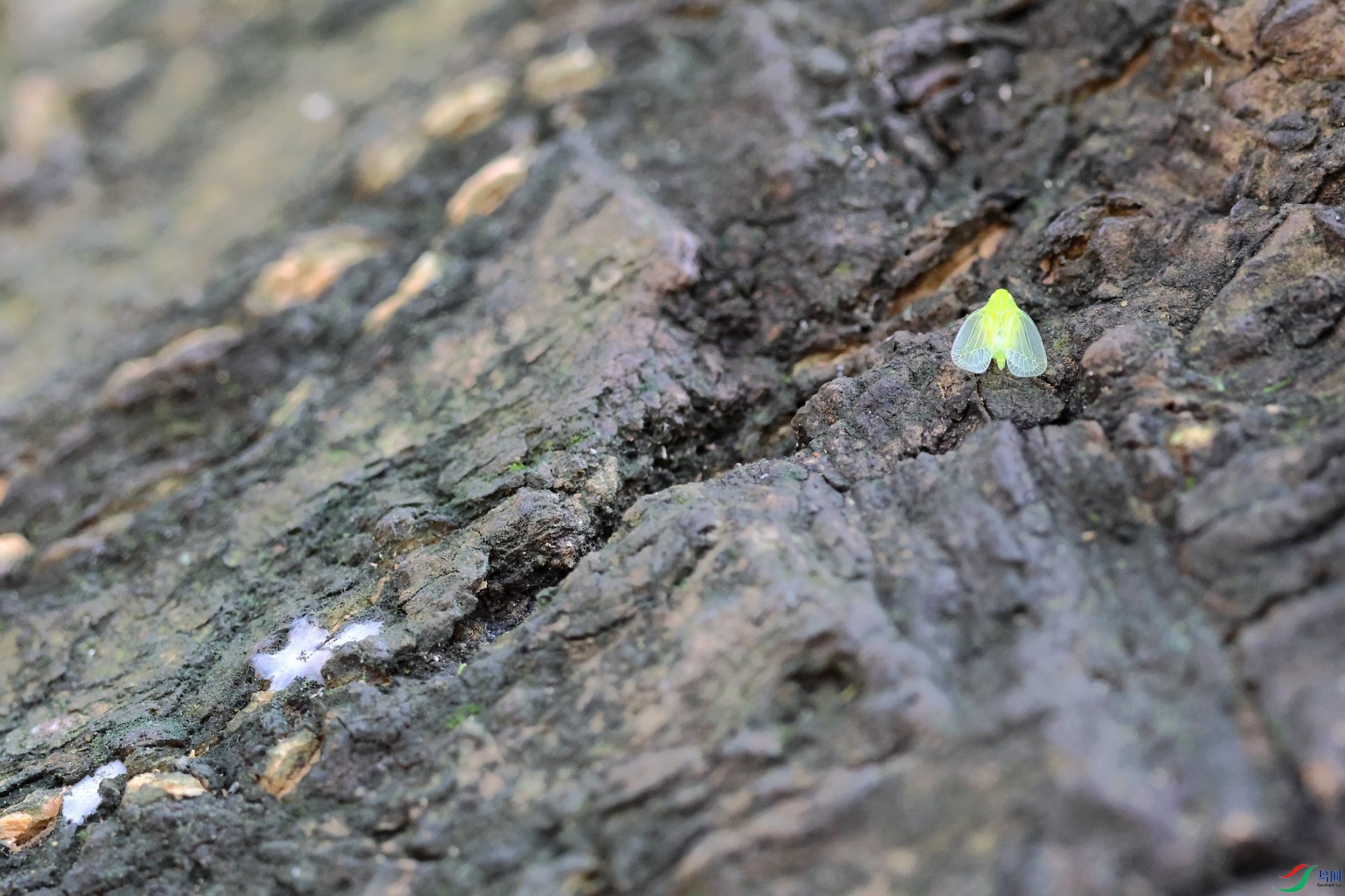 ��ôС�ǲ���