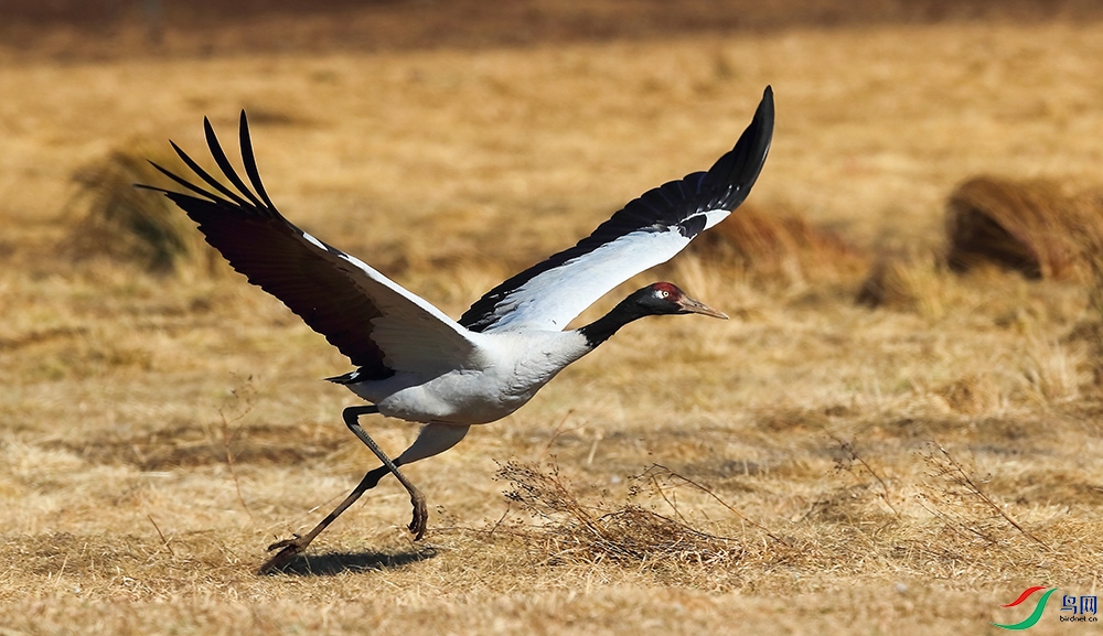 �ھ��� (2).JPG