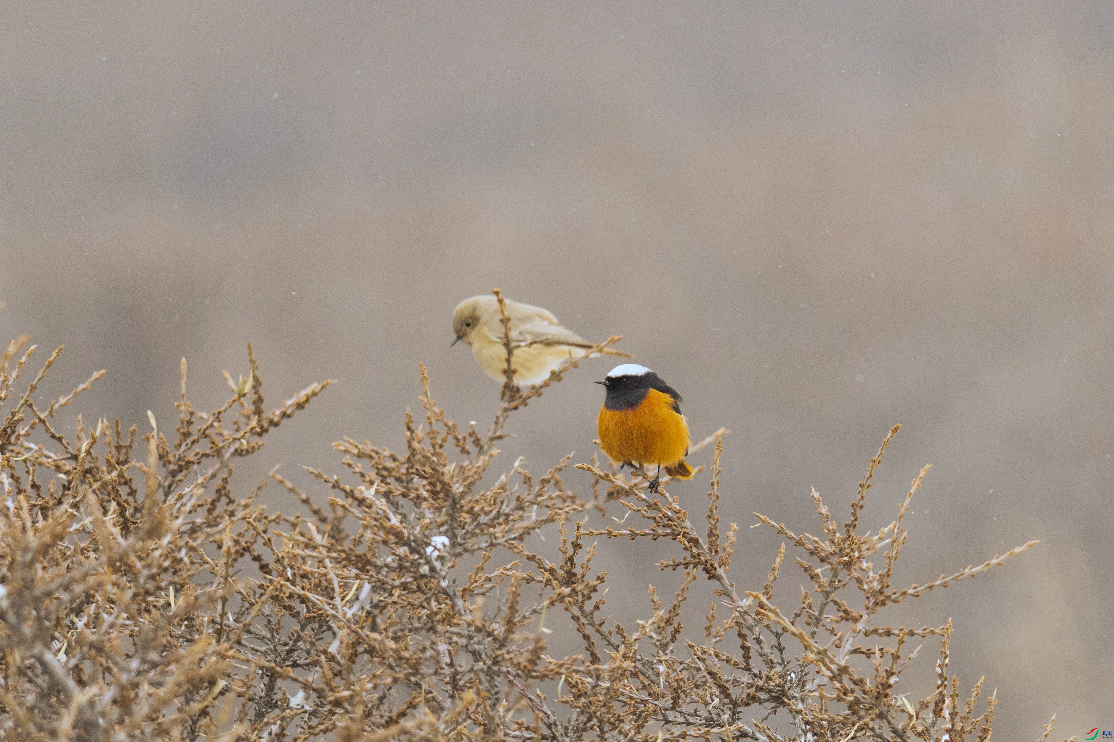 7X5A2112 ���� - ����.jpg