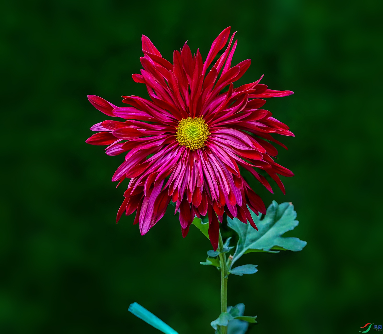 0000583A0163 �������� 1000k.jpg