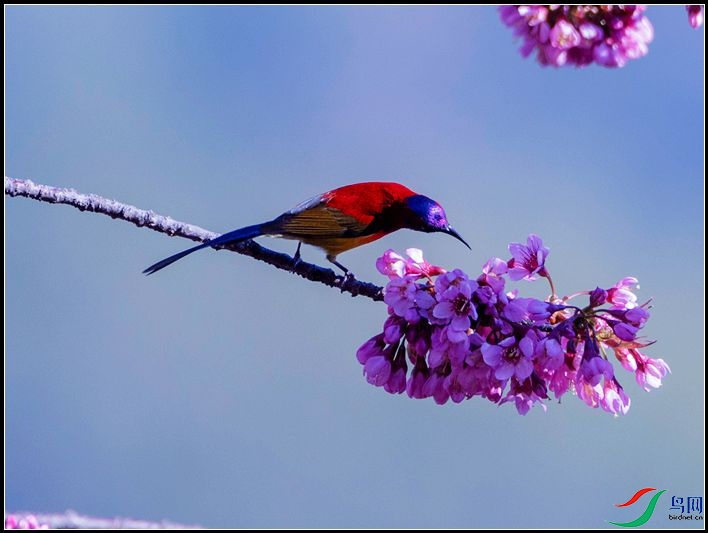 ����̫����