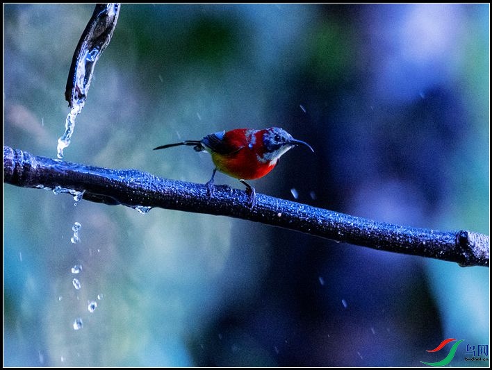 ����̫����