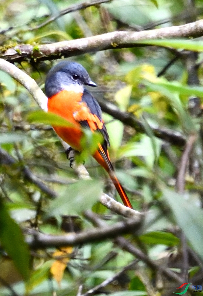 �Һ�ɽ��ȸ (2).jpg