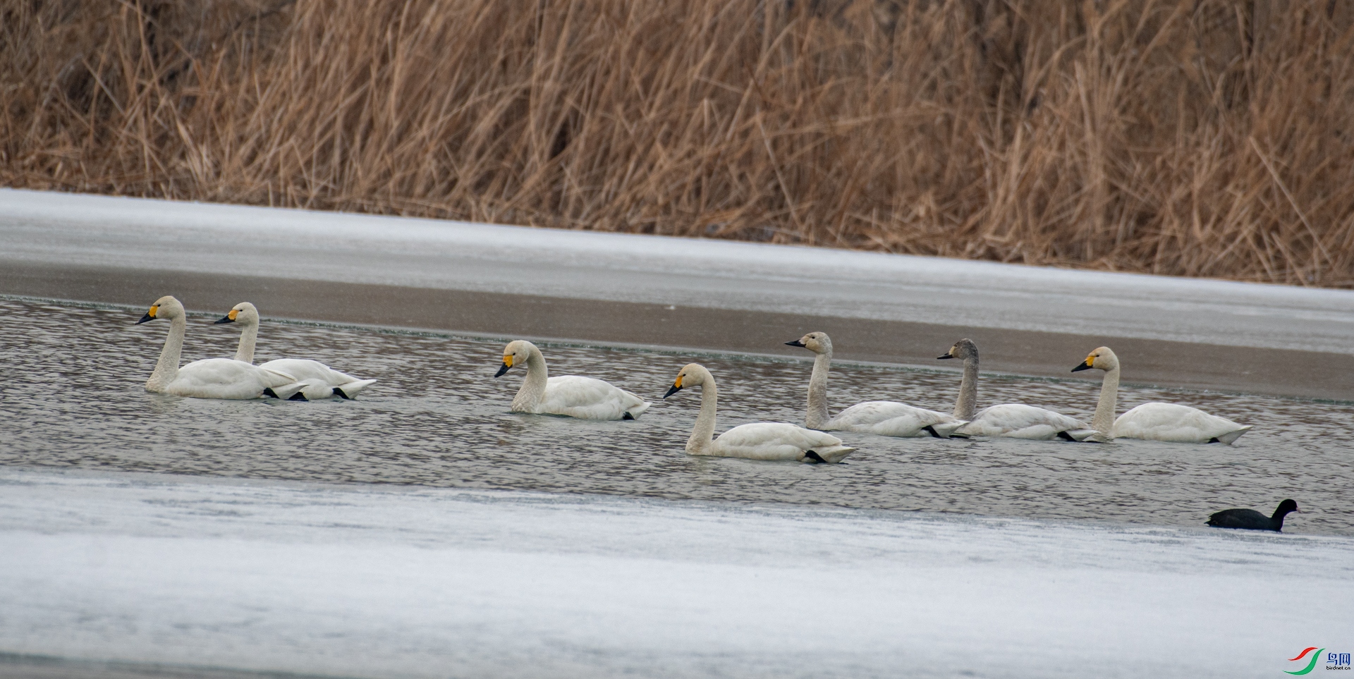 DSC_6917.jpg