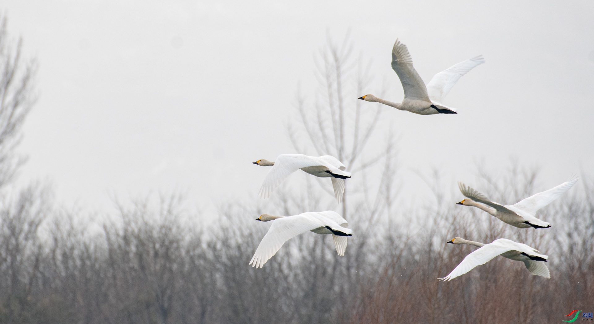 DSC_6924.jpg