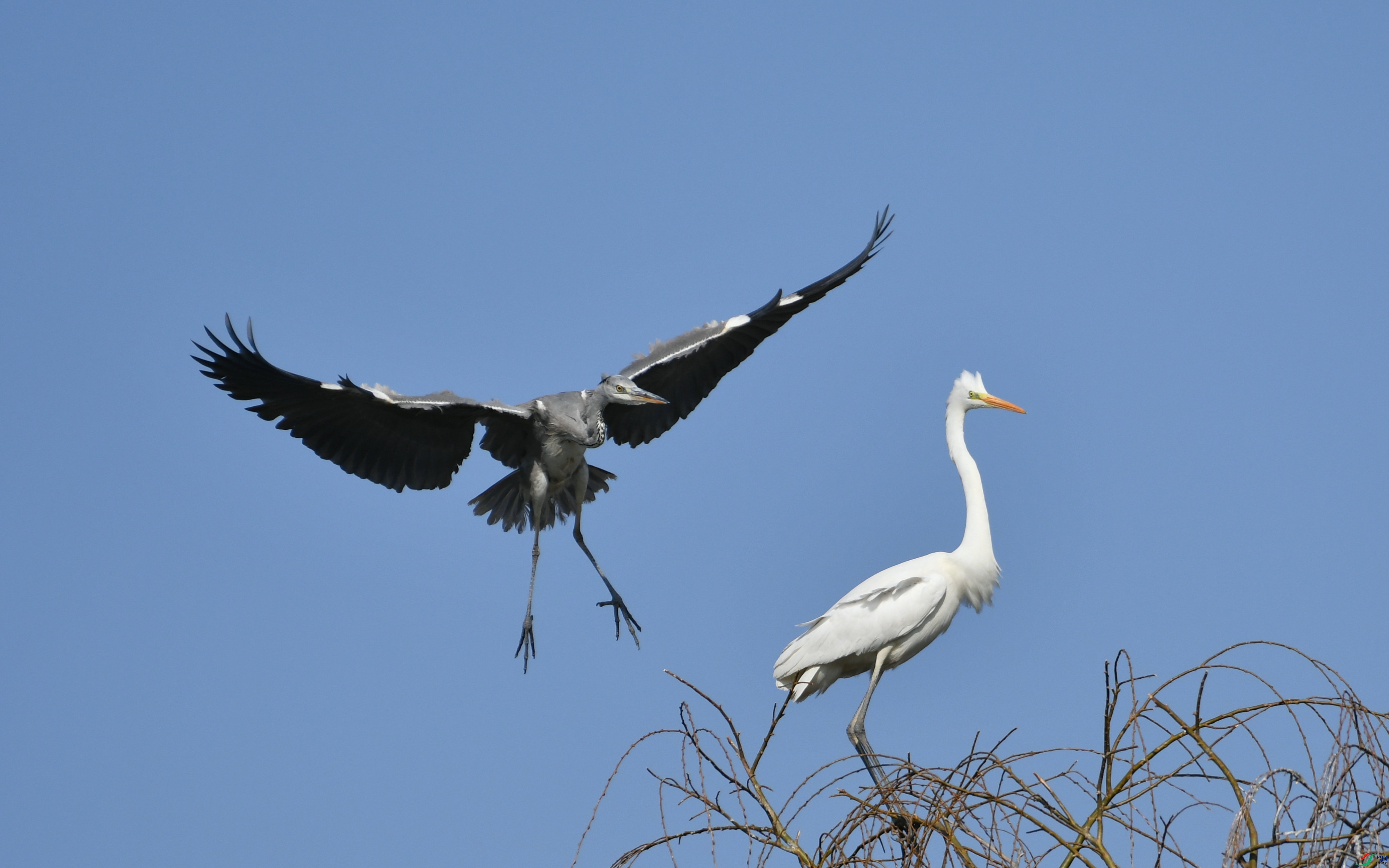 DSC_8944.JPG