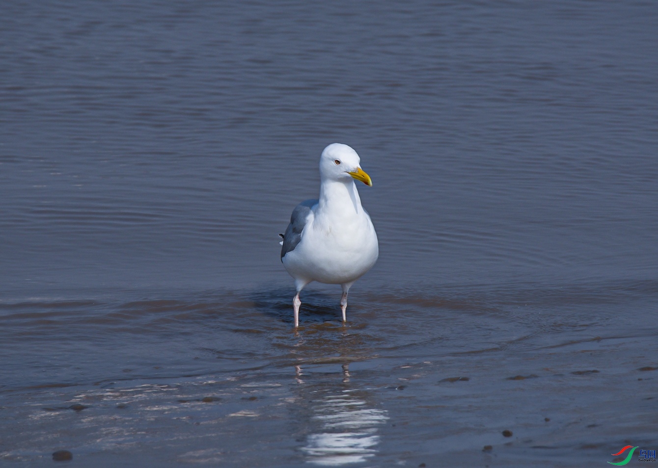 DSC_6266f.jpg