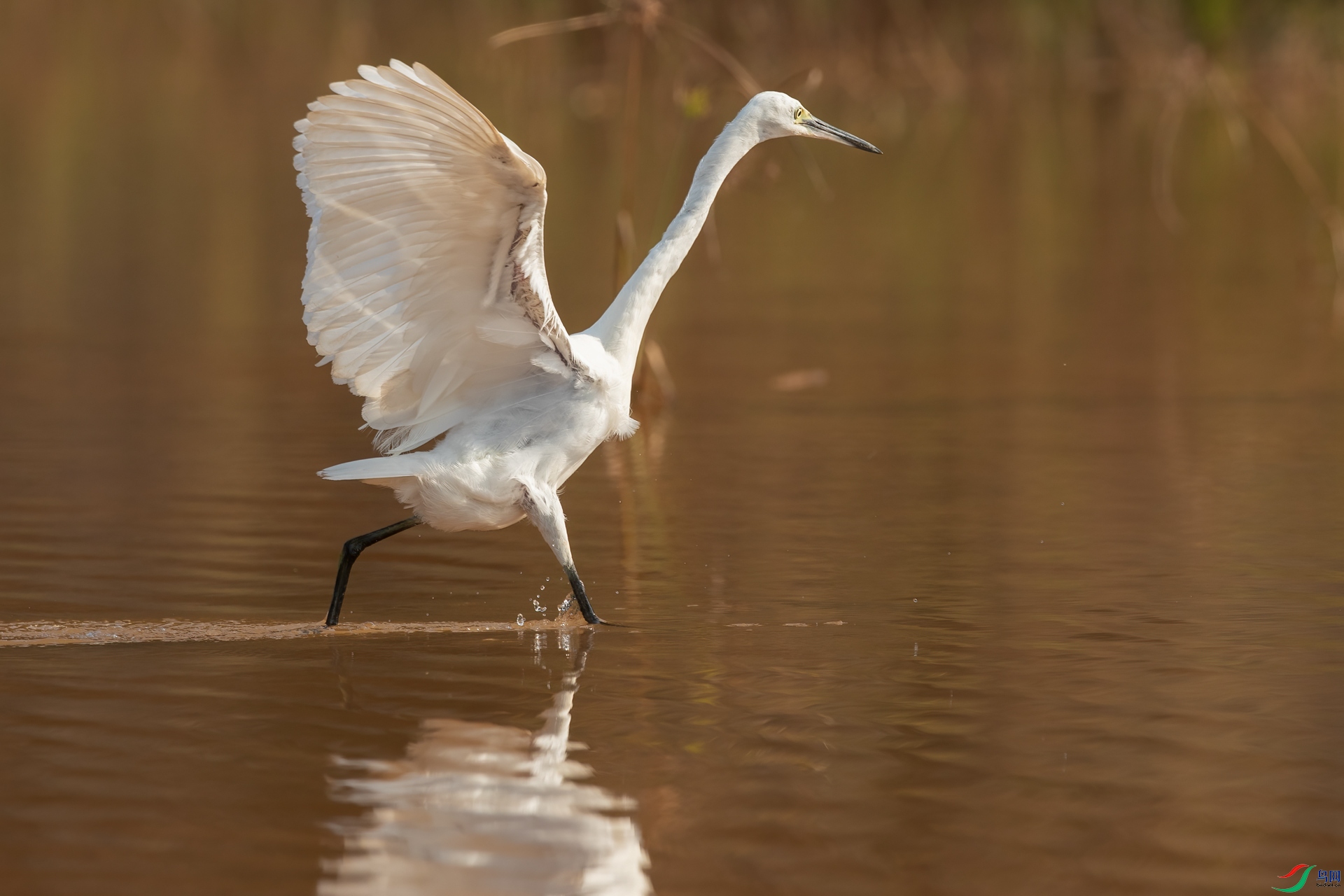 B86I6428 _����.jpg