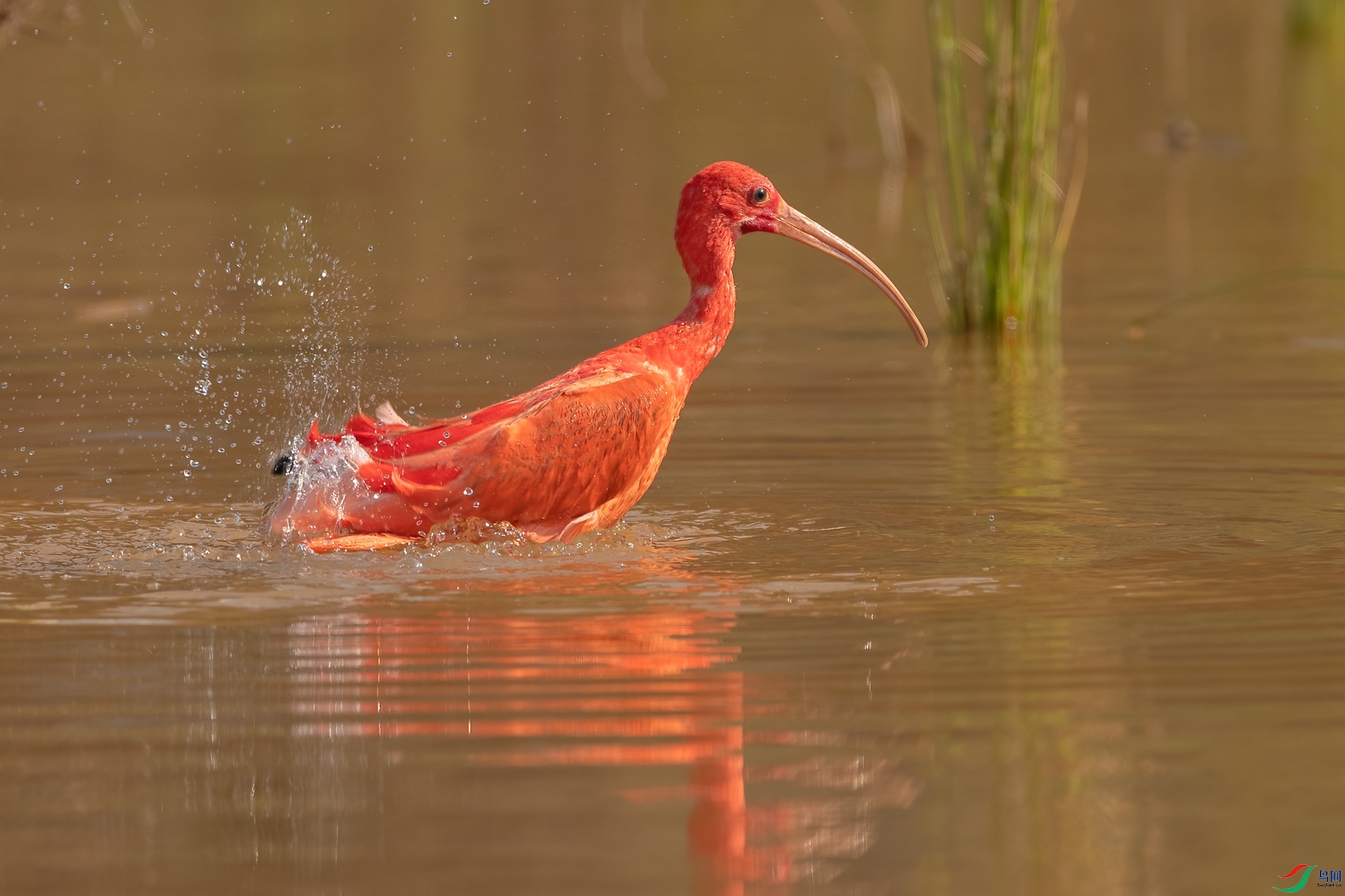 B86I6113 _����.jpg