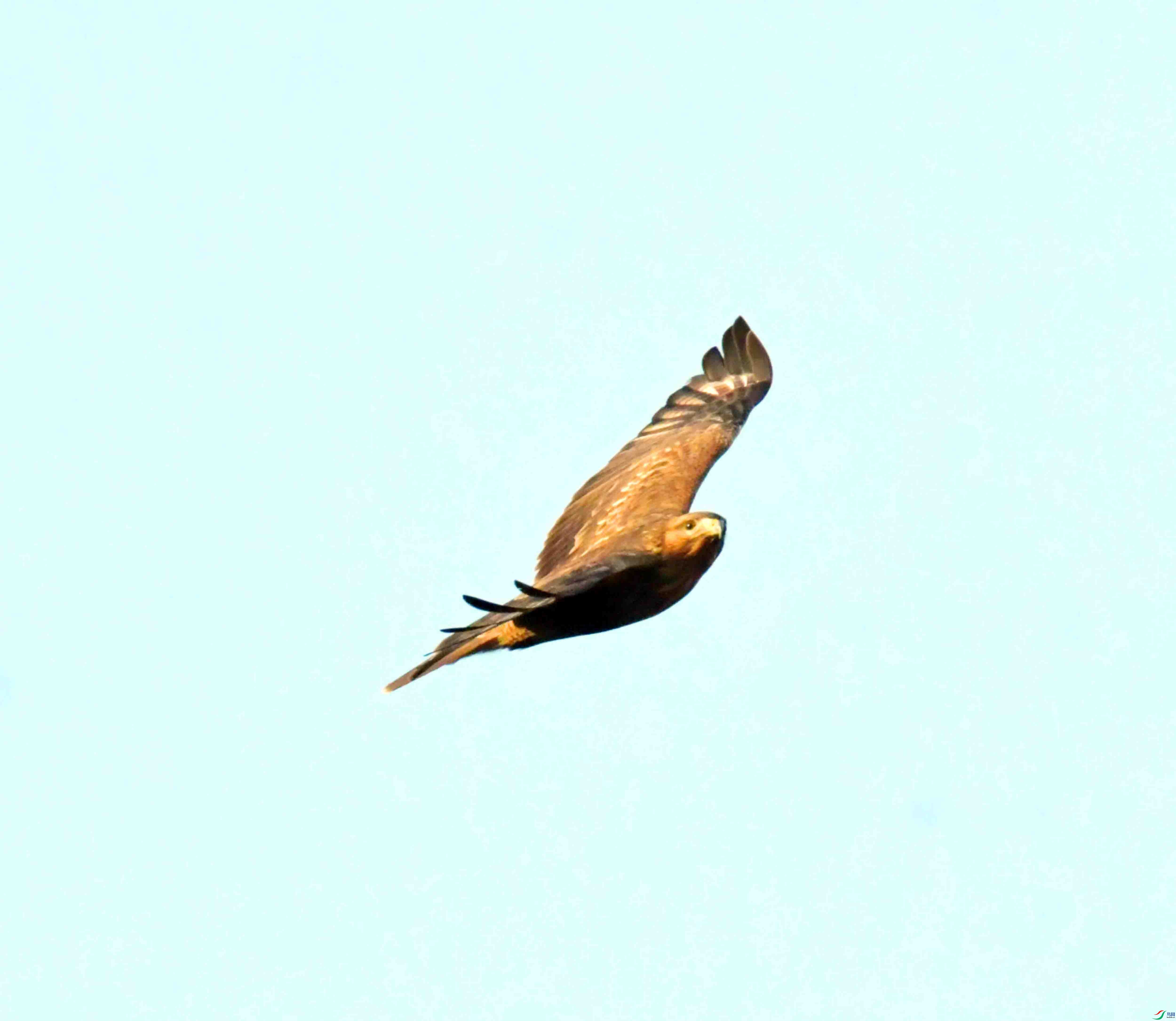 DSC_9024.JPG