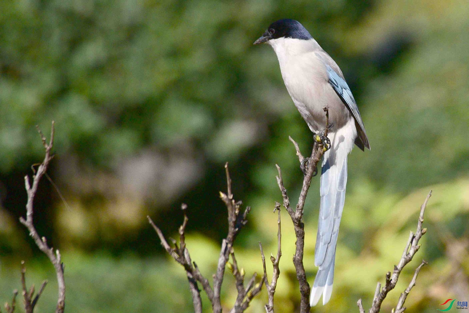 DSC_9736.JPG