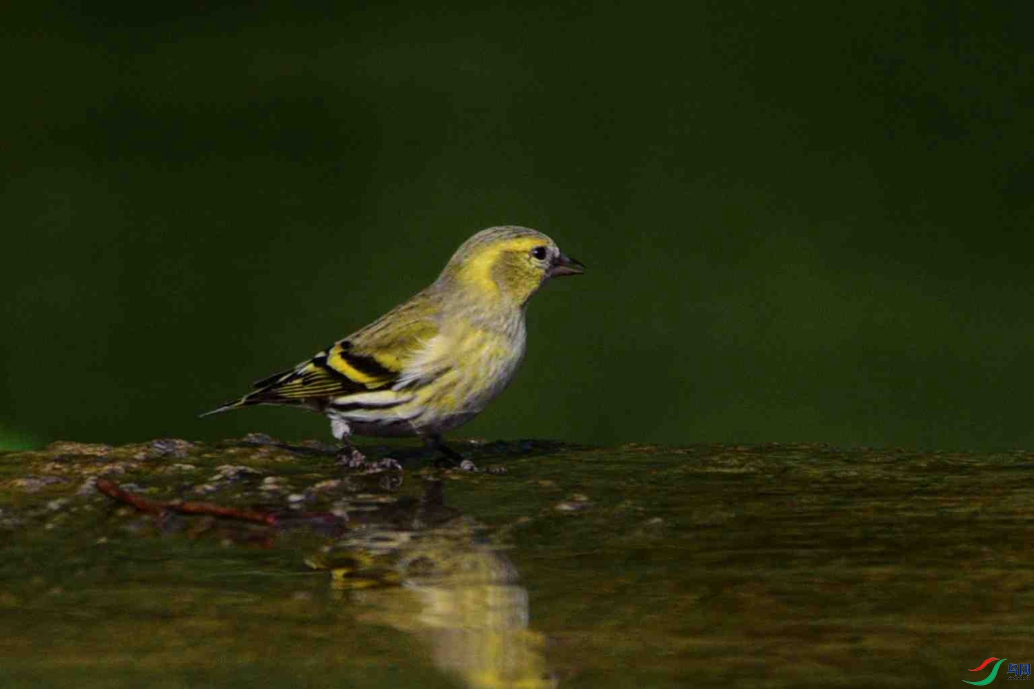 DSC_9956.JPG