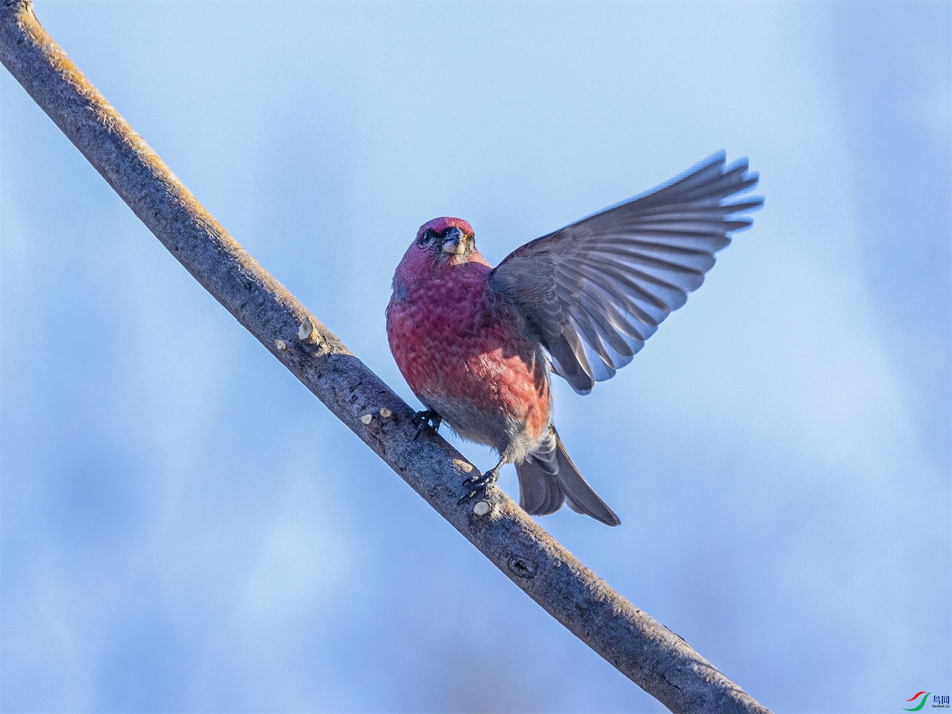 1K3A8504 ����1.jpg