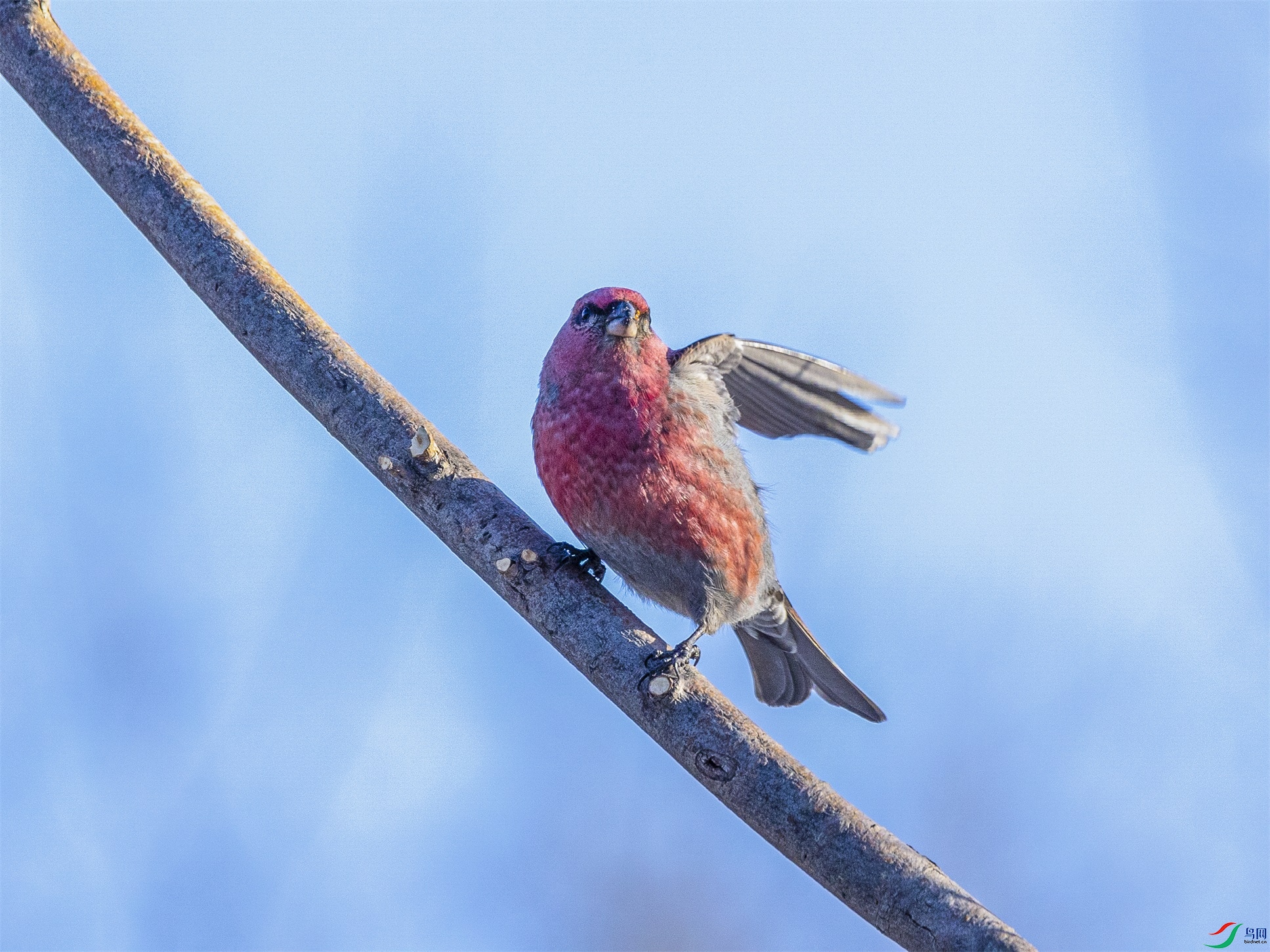 1K3A8505 ����1.jpg