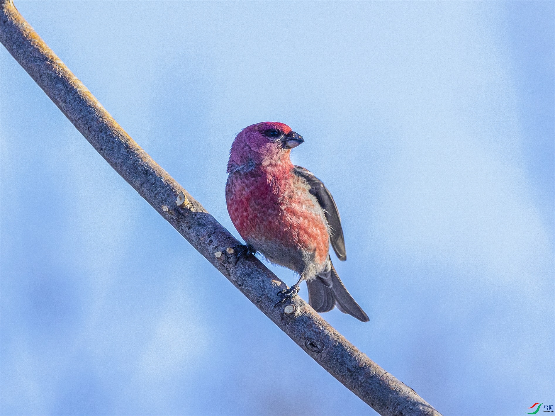 1K3A8503 ����1.jpg