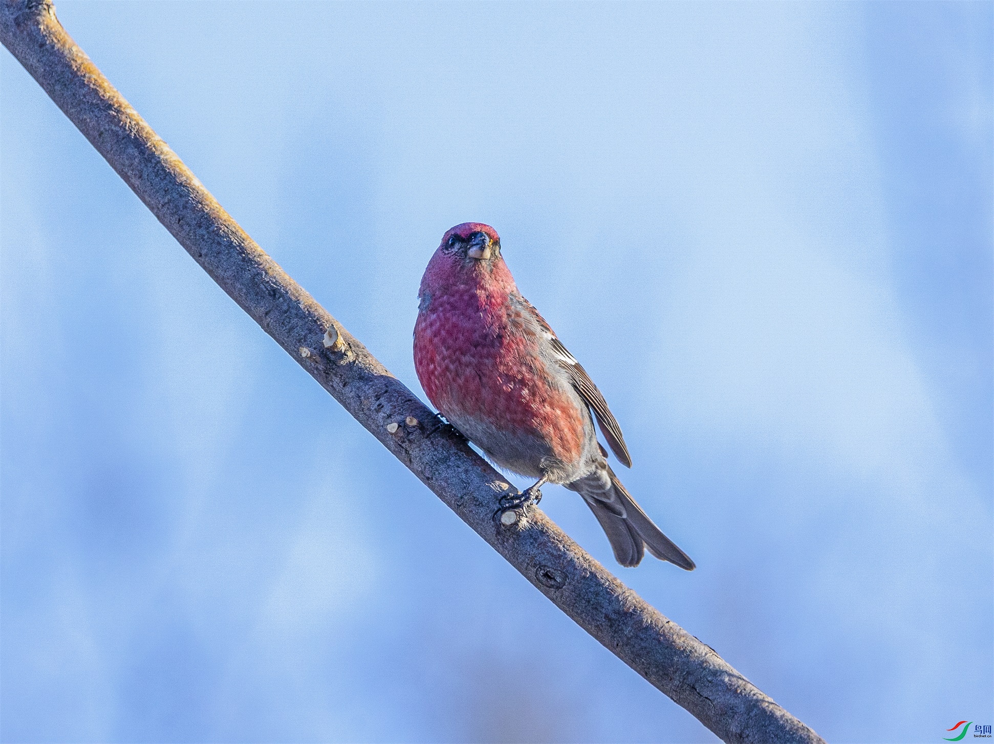 1K3A8508 ����1.jpg