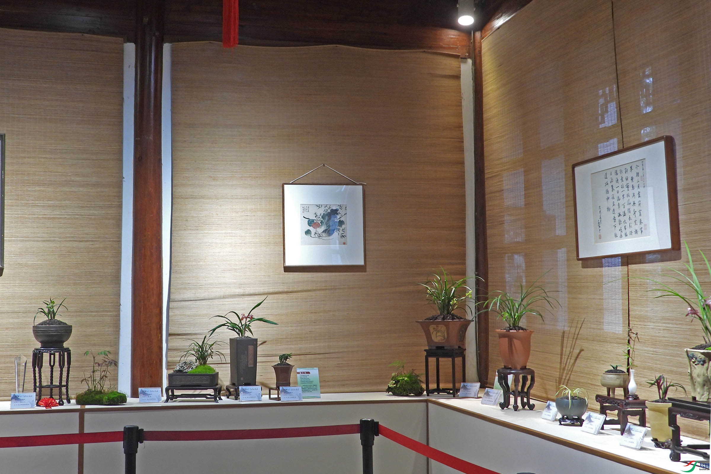 DSCN2709.JPG