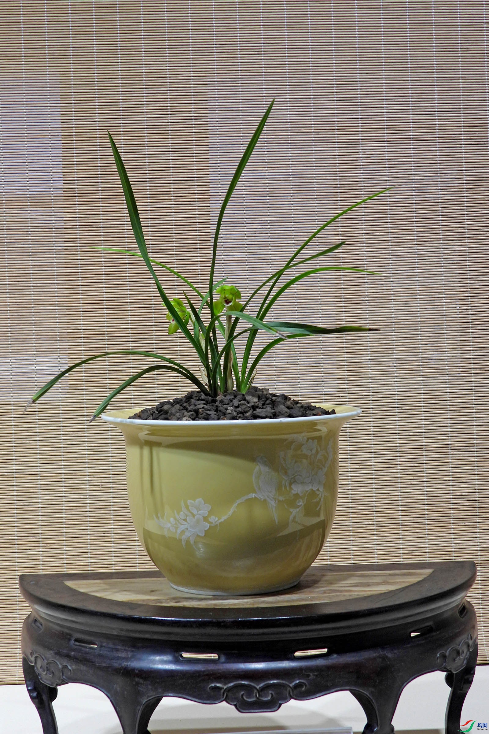 DSCN2683.JPG